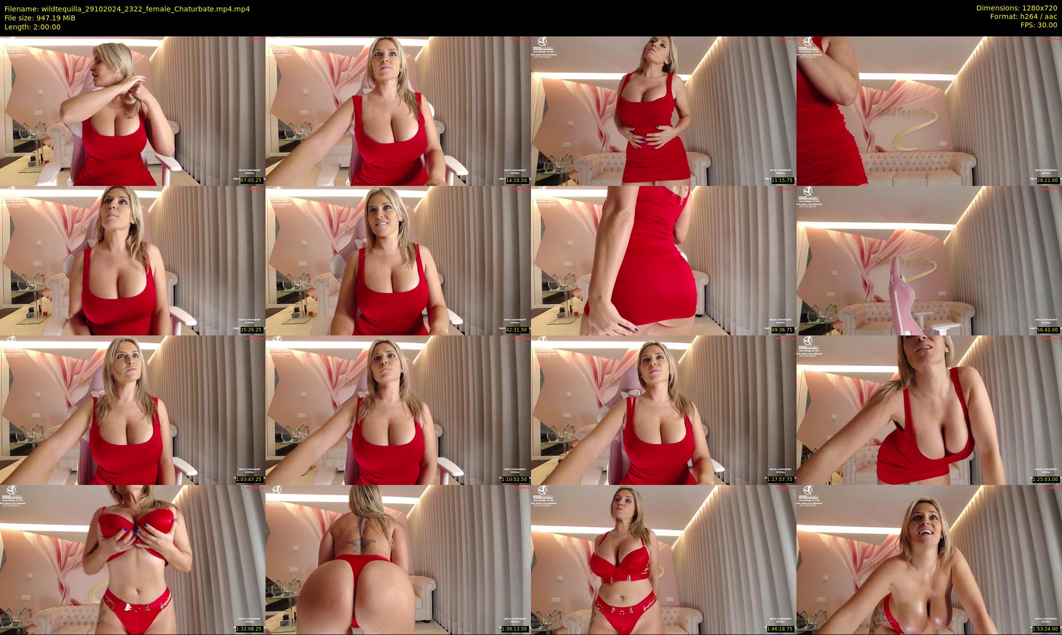wildtequilla — 120 minute Chaturbate couple cam show recording, 720p, Oct 29, 2024