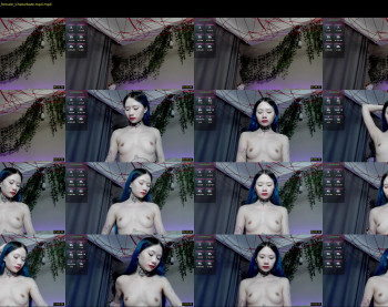 le_chan — 15 minute Chaturbate female cam show recording, 720p, Oct 31, 2024