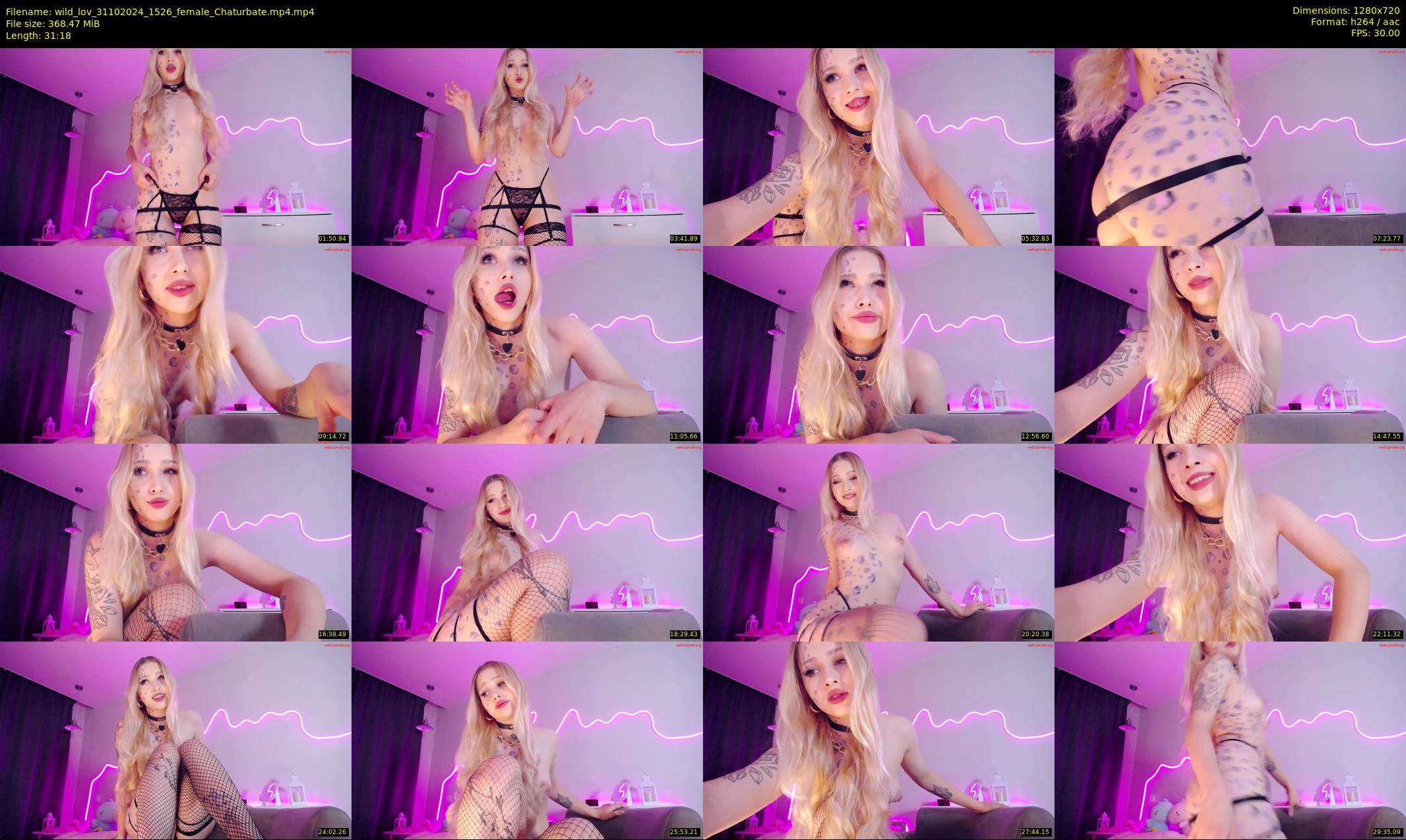 wild_lov — 32 minute Chaturbate female cam show recording, 720p, Oct 31, 2024