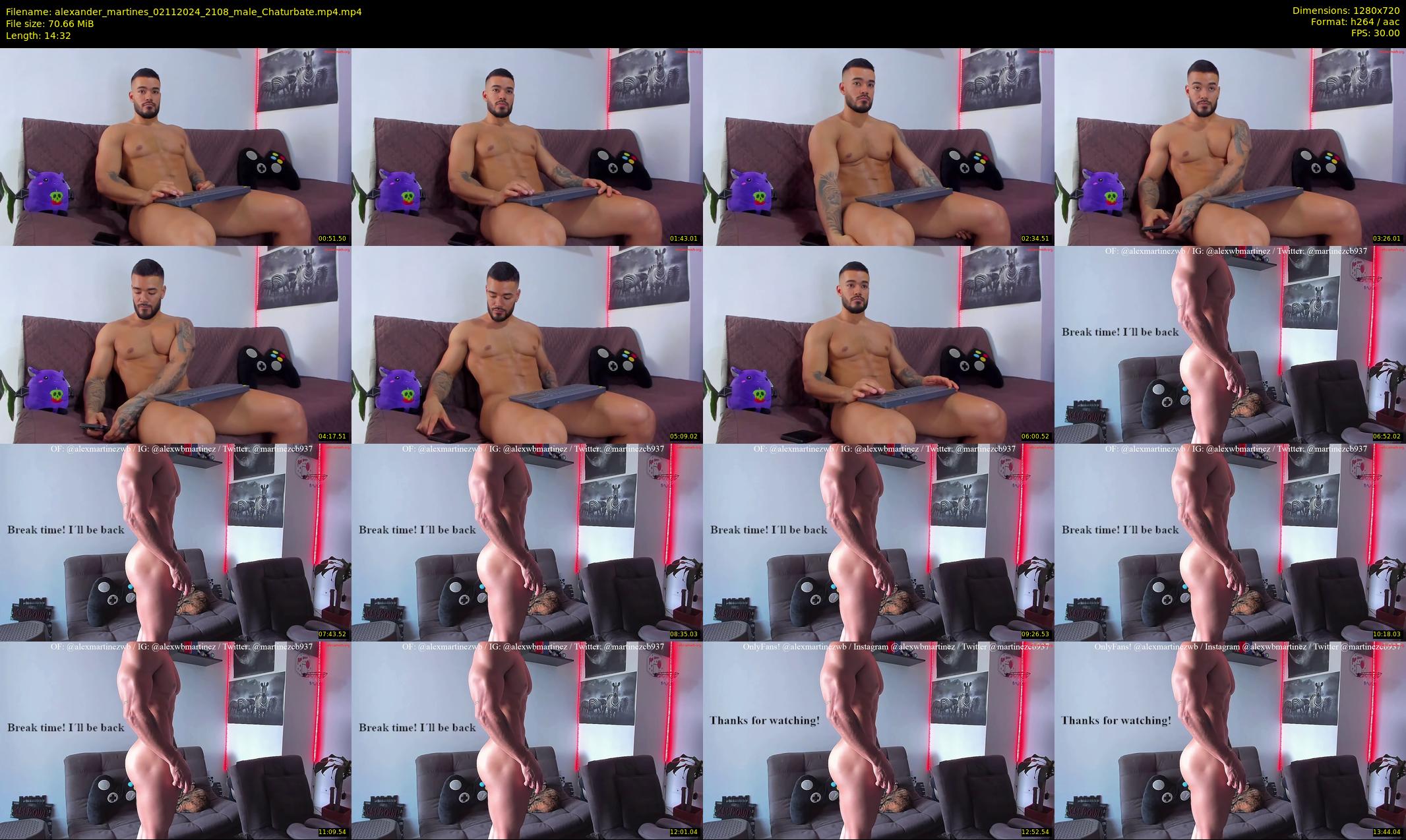 alexander_martines — 15 minute Chaturbate male cam show recording, 720p, Nov 2, 2024