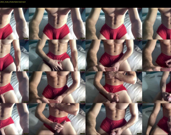 bestdick1991 — 14 minute Chaturbate male cam show recording, 720p, Nov 2, 2024