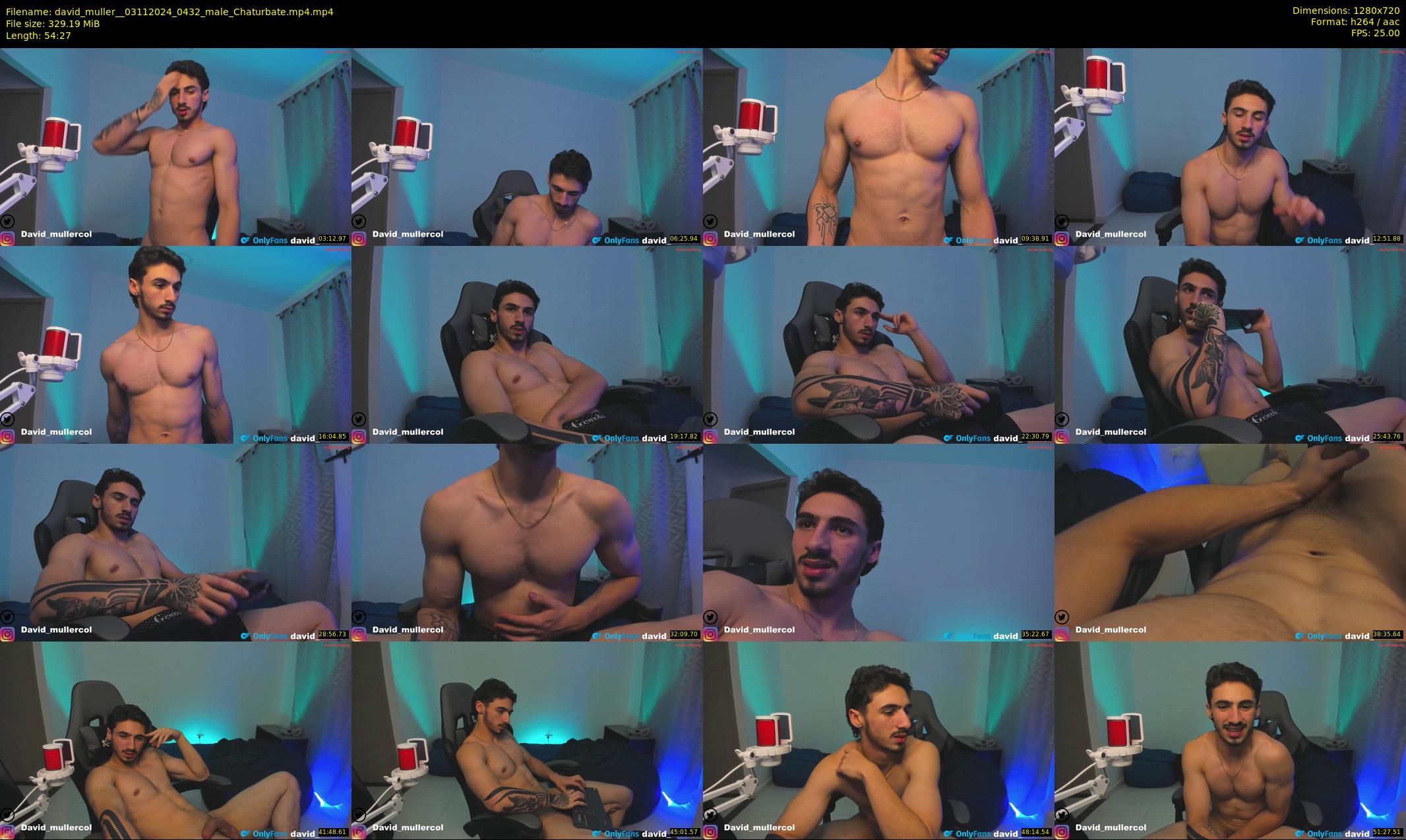 david_muller_ — 55 minute Chaturbate male cam show recording, 720p, Nov 3, 2024