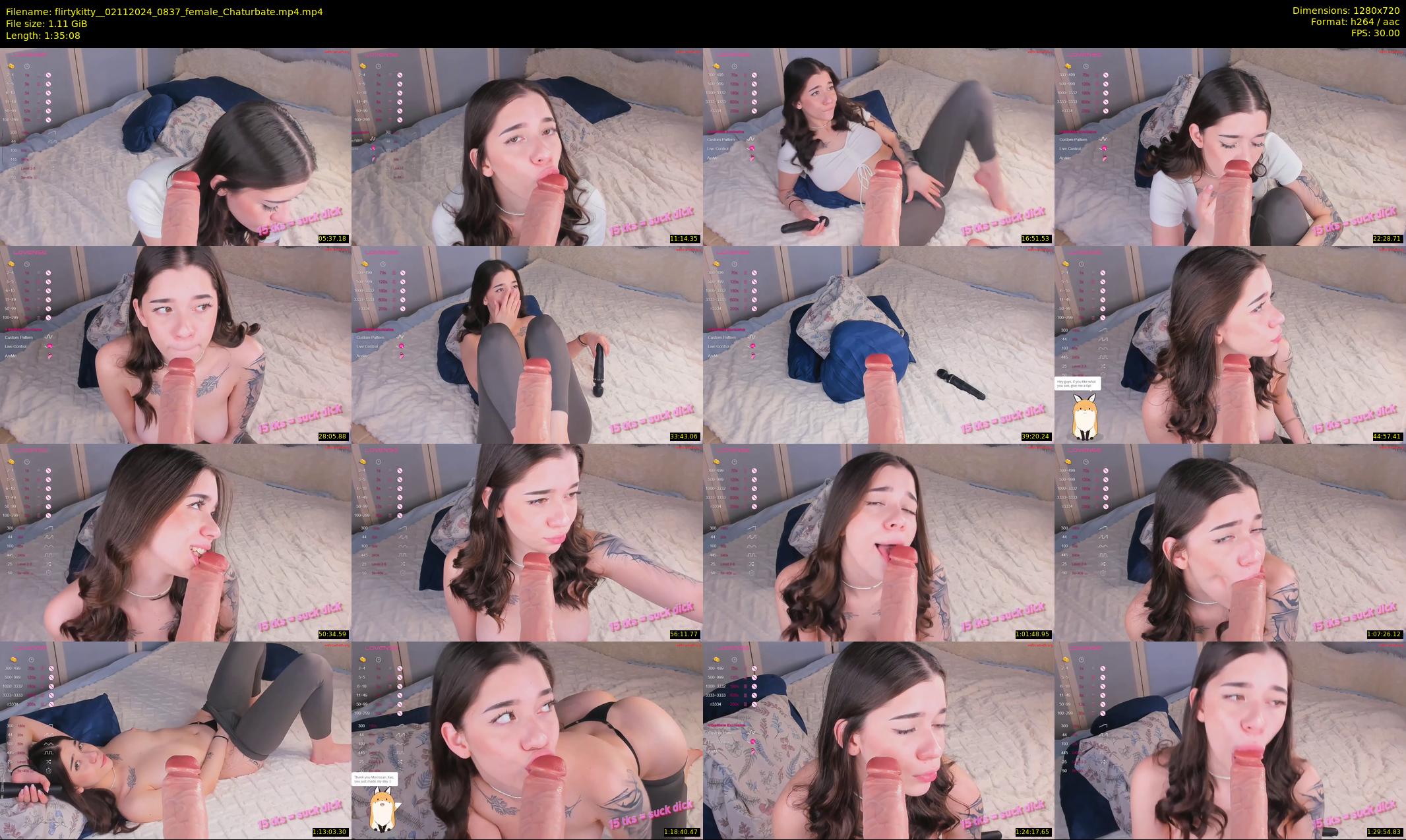 flirtykitty_ — 96 minute Chaturbate female cam show recording, 720p, Nov 2, 2024