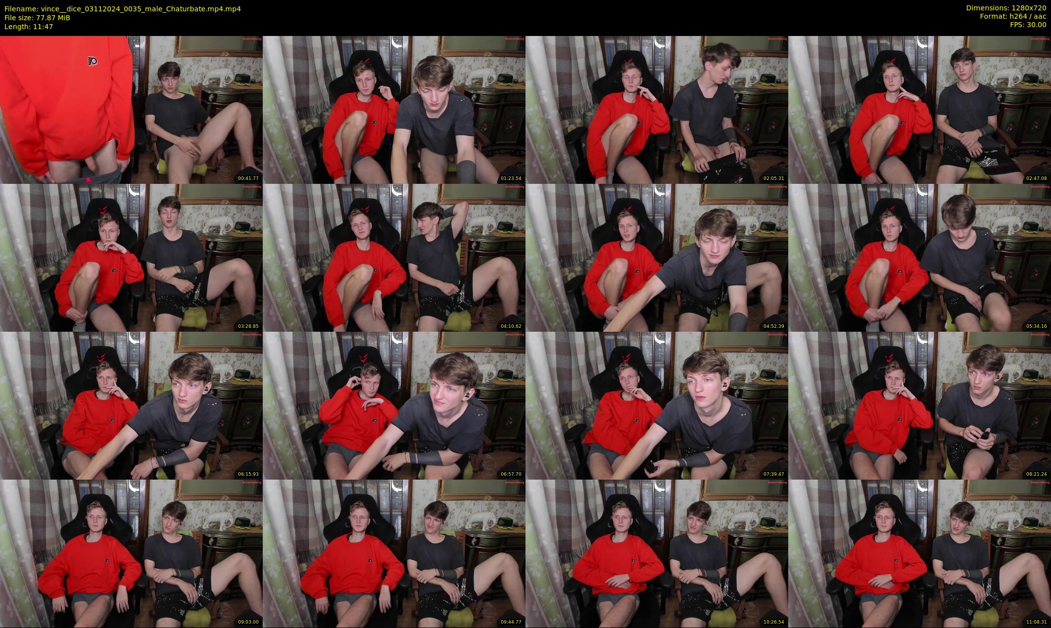 vince__dice — 12 minute Chaturbate male cam show recording, 720p, Nov 3, 2024