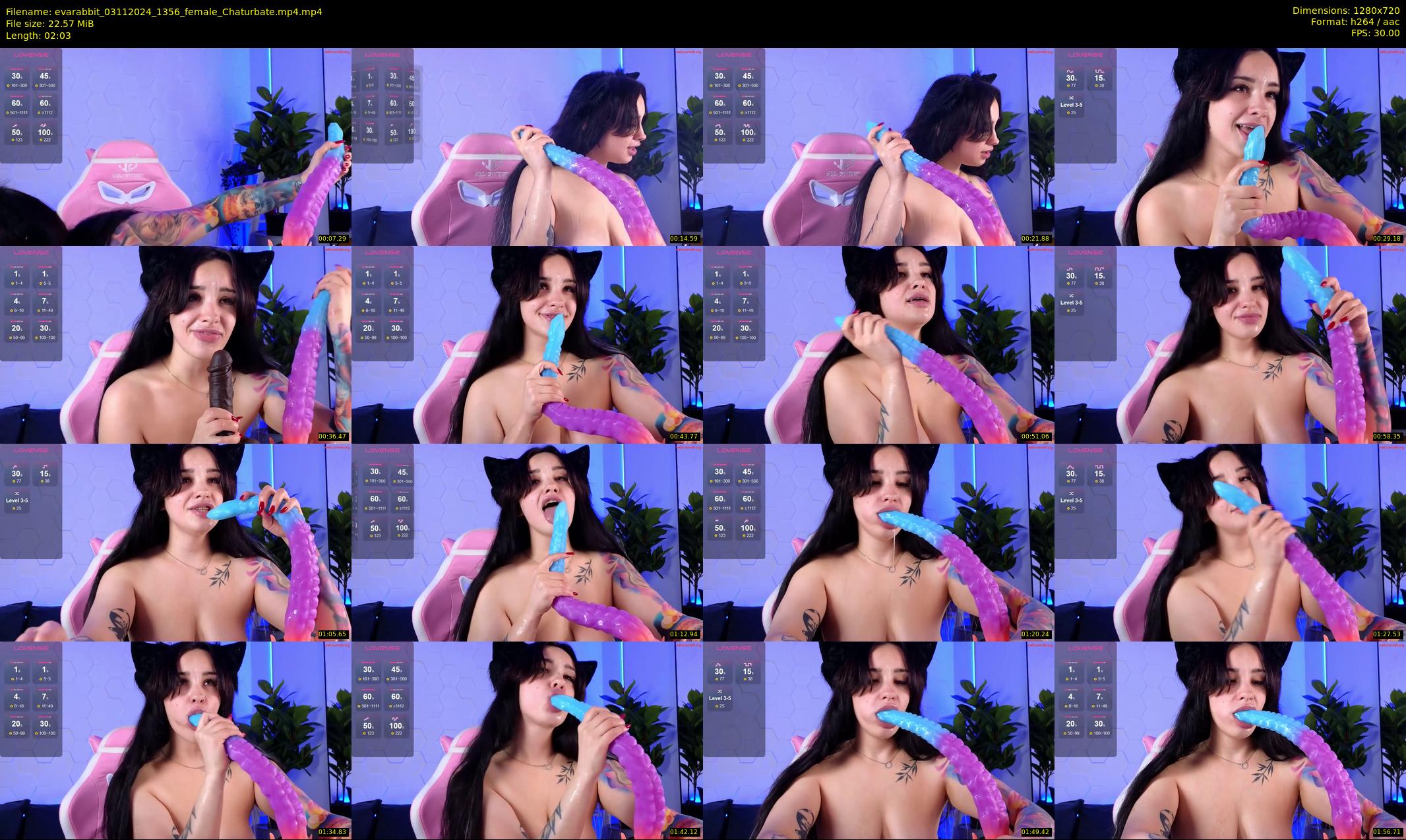 evarabbit — 3 minute Chaturbate female cam show recording, 720p, Nov 3, 2024