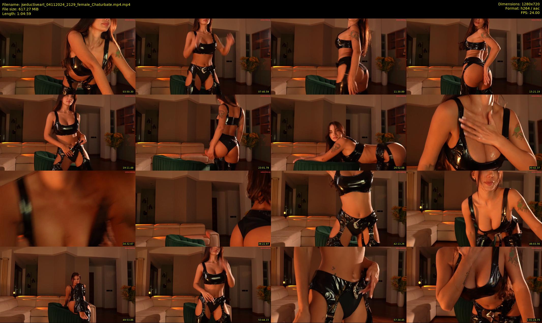 jseductiveart — 65 minute Chaturbate female cam show recording, 720p, Nov 4, 2024