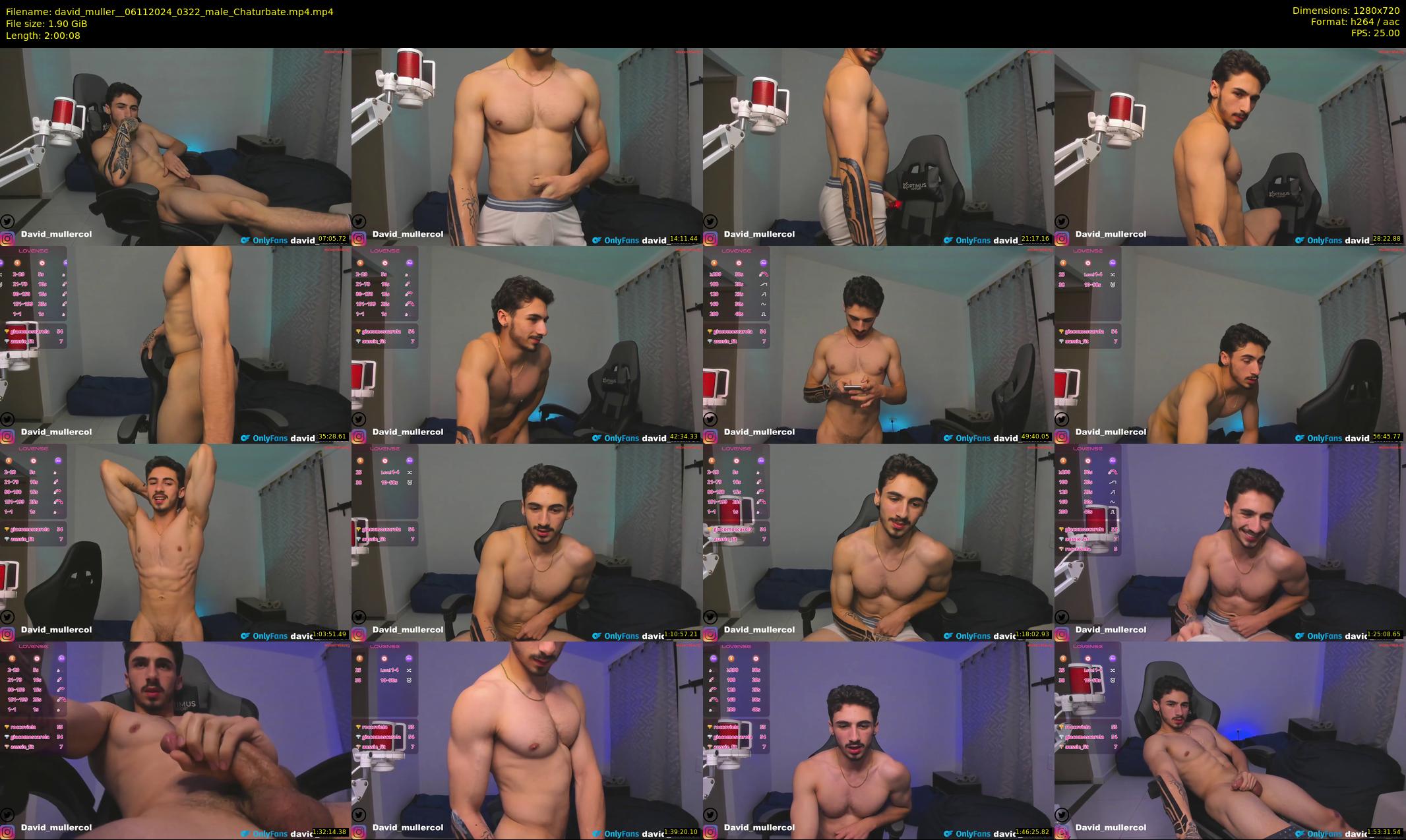 david_muller_ — 121 minute Chaturbate male cam show recording, 720p, Nov 6, 2024