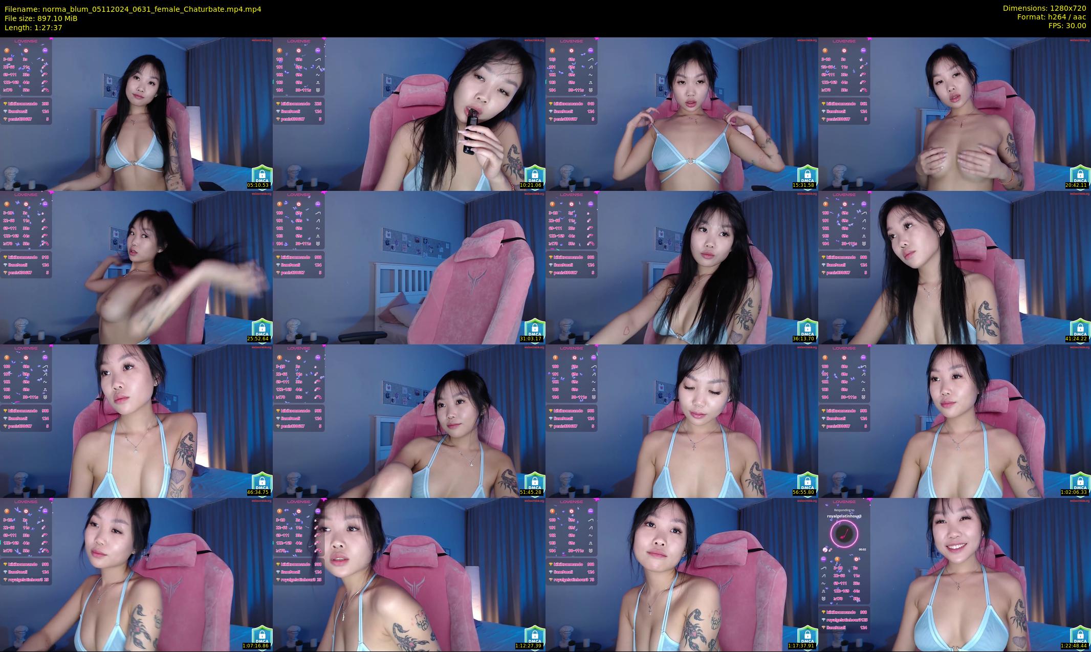 norma_blum — 88 minute Chaturbate female cam show recording, 720p, Nov 5, 2024