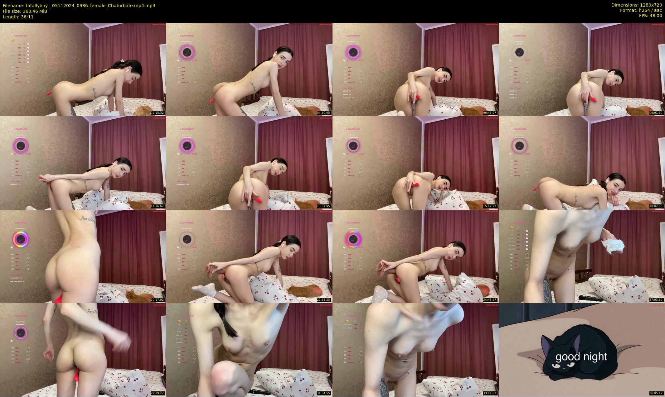totallytiny_ — 39 minute Chaturbate female cam show recording, 720p, Nov 5, 2024