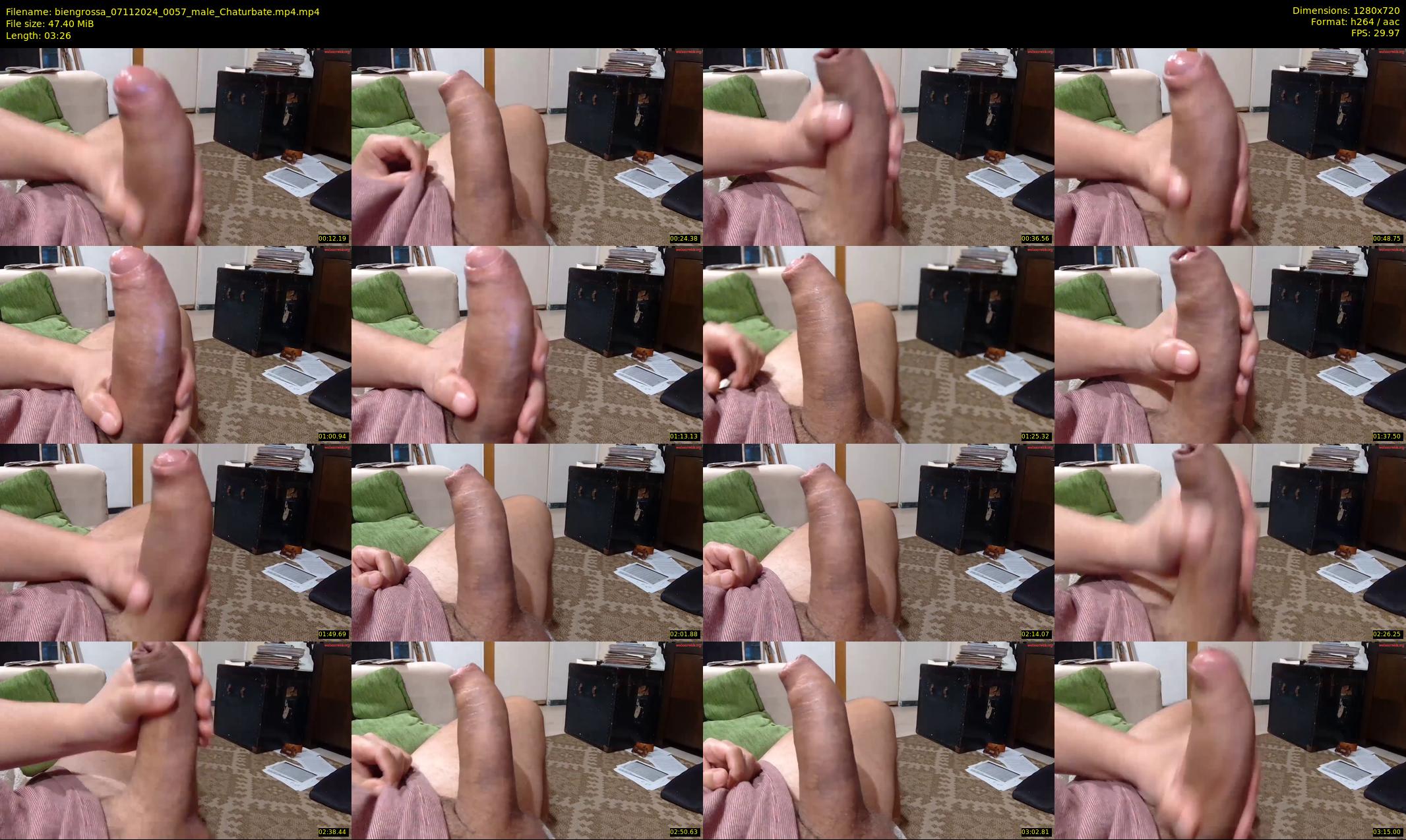 biengrossa — 4 minute Chaturbate male cam show recording, 720p, Nov 7, 2024