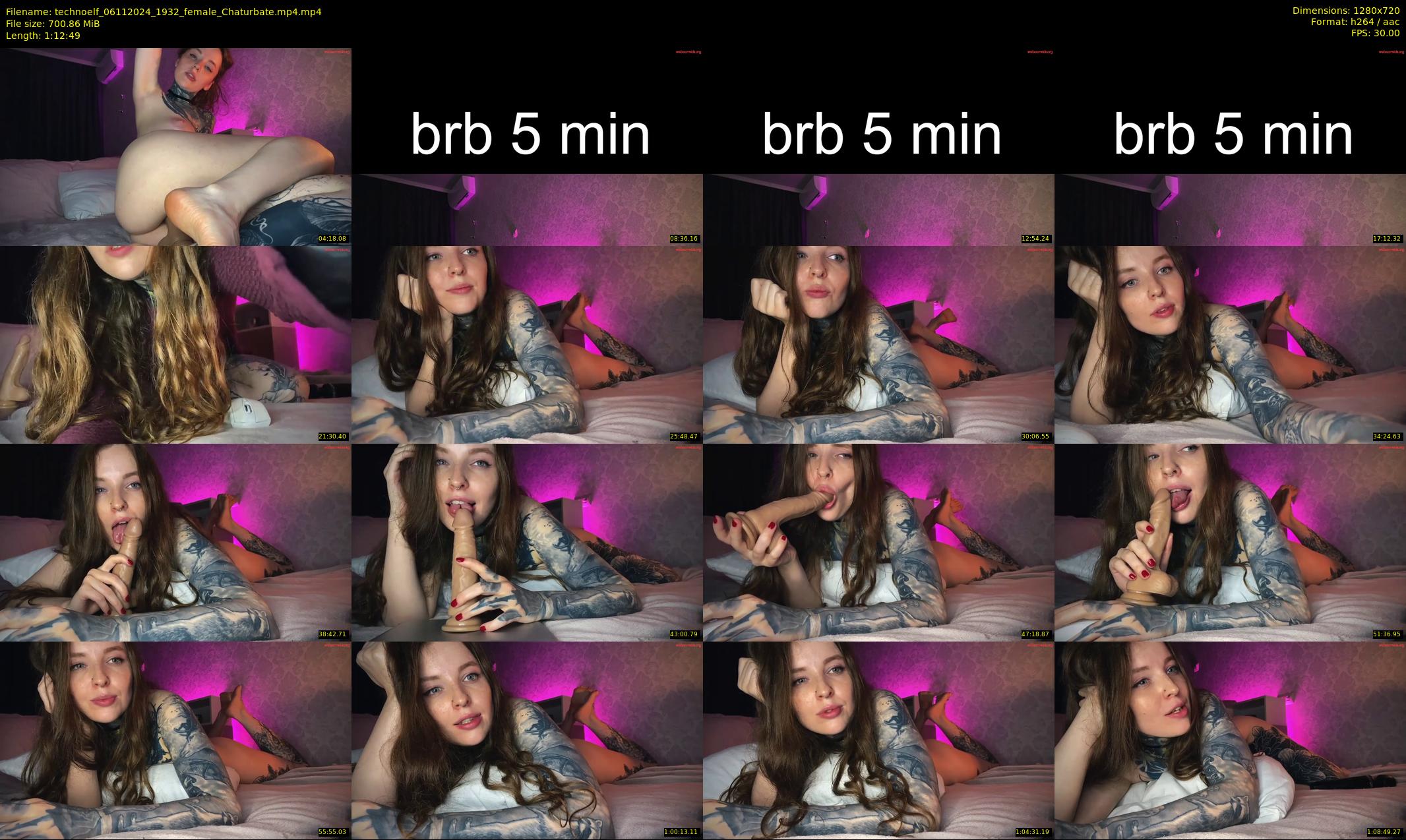 technoelf — 73 minute Chaturbate female cam show recording, 720p, Nov 6, 2024