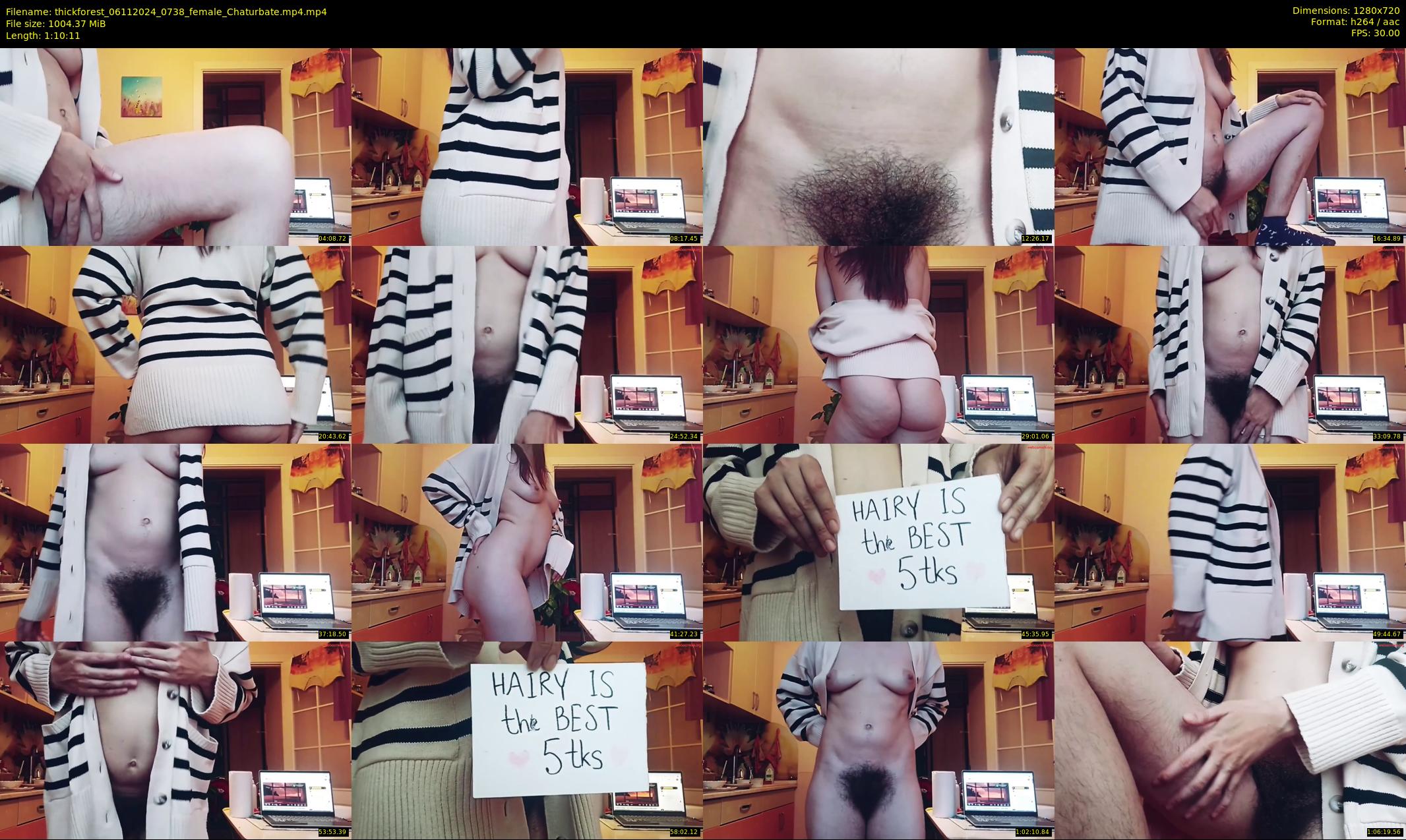 thickforest — 71 minute Chaturbate female cam show recording, 720p, Nov 6, 2024
