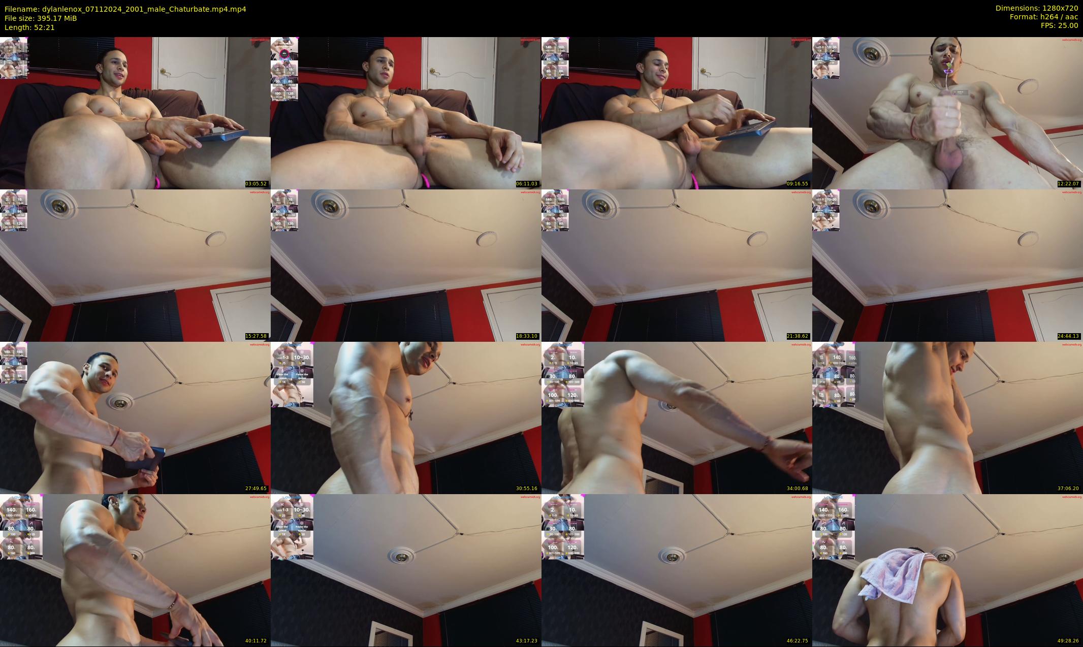dylanlenox — 53 minute Chaturbate male cam show recording, 720p, Nov 7, 2024
