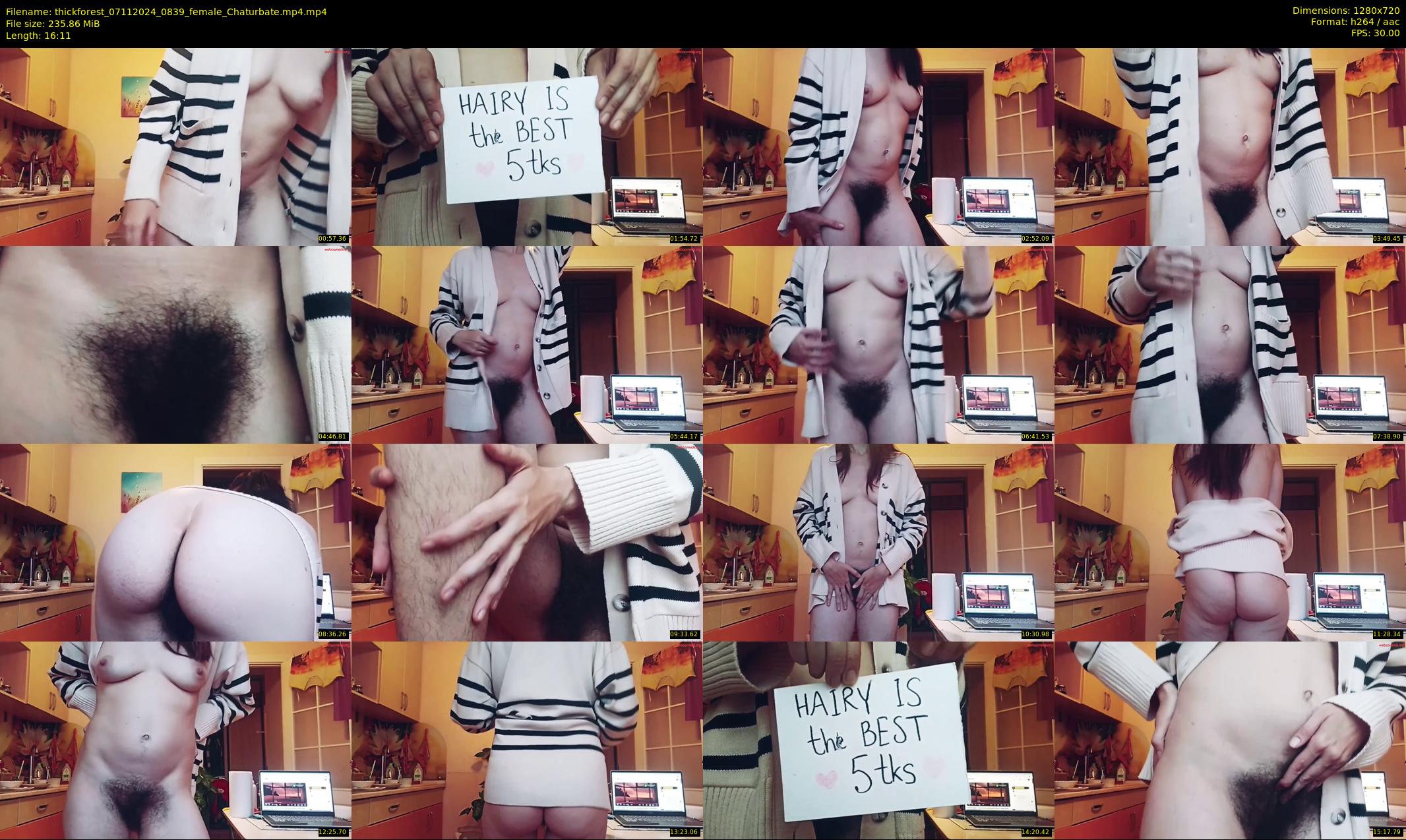thickforest — 17 minute Chaturbate female cam show recording, 720p, Nov 7, 2024