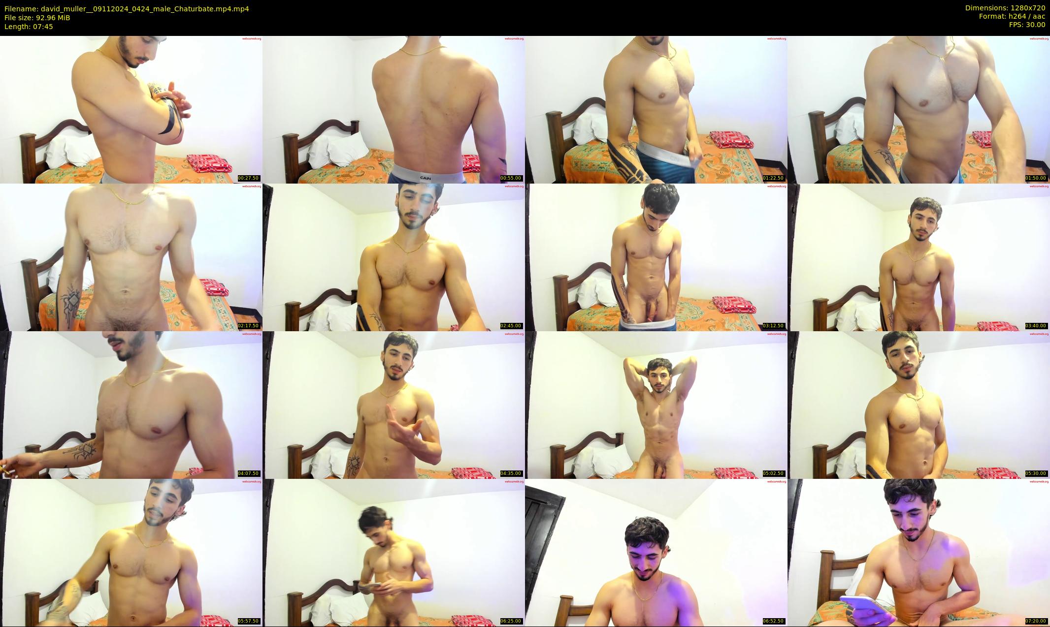 david_muller_ — 8 minute Chaturbate male cam show recording, 720p, Nov 9, 2024
