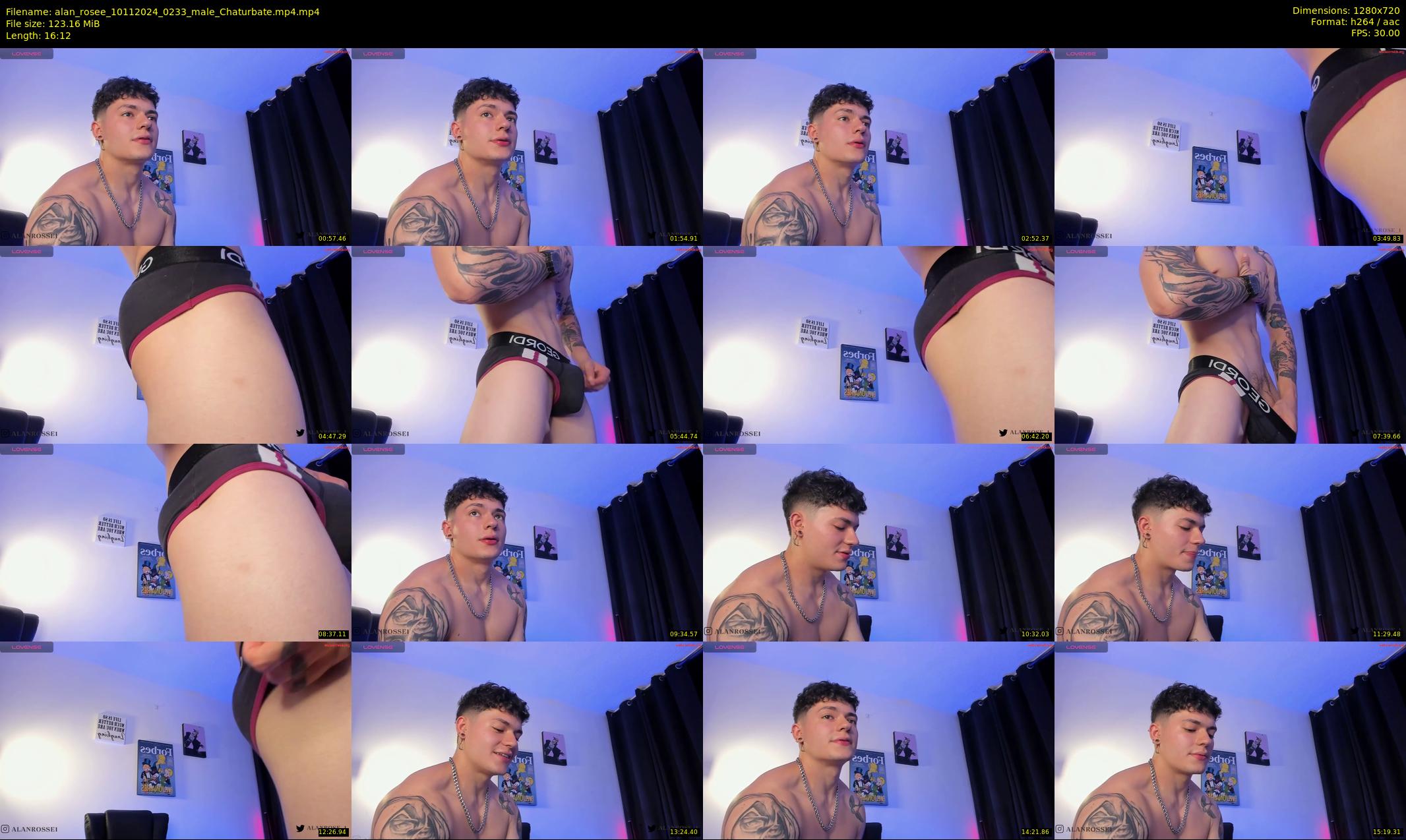 alan_rosee — 17 minute Chaturbate male cam show recording, 720p, Nov 10, 2024