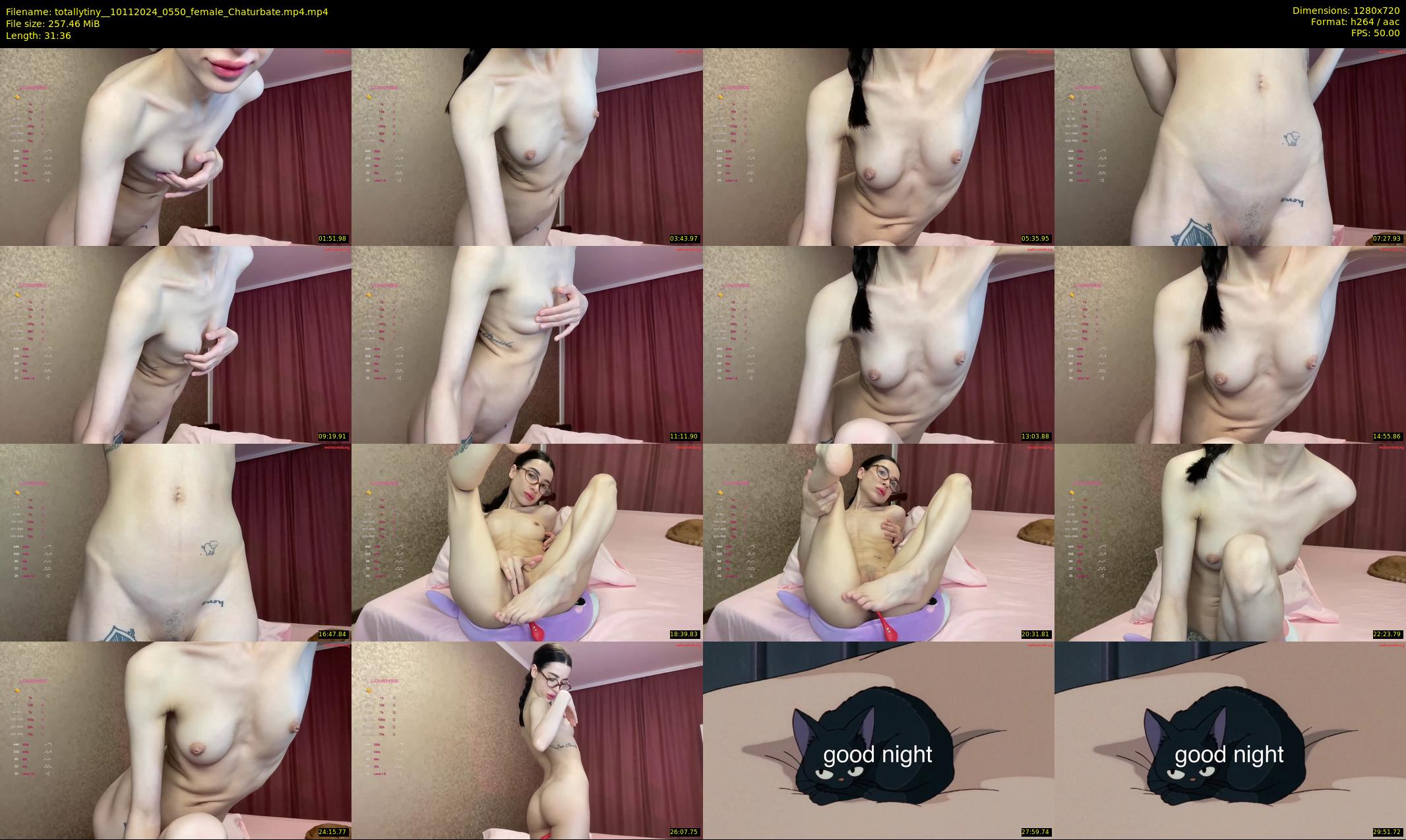 totallytiny_ — 32 minute Chaturbate female cam show recording, 720p, Nov 10, 2024