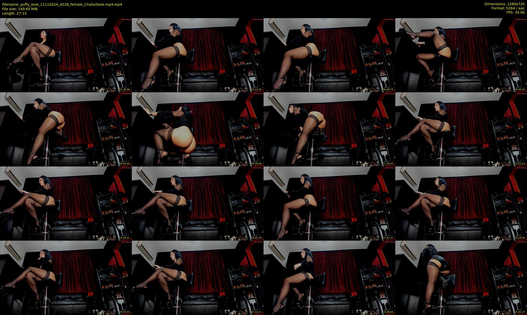 puffy_love — 28 minute Chaturbate female cam show recording, 720p, Nov 11, 2024