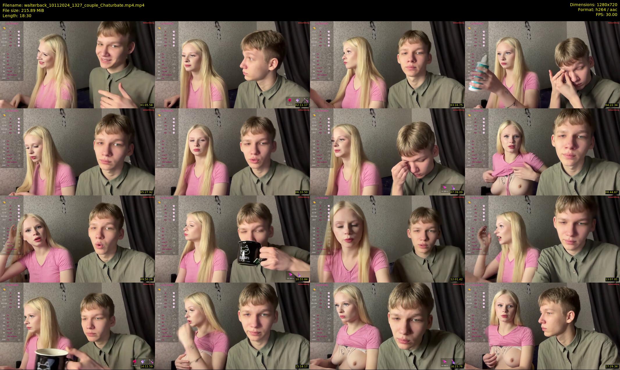 walterback — 19 minute Chaturbate male cam show recording, 720p, Nov 10, 2024