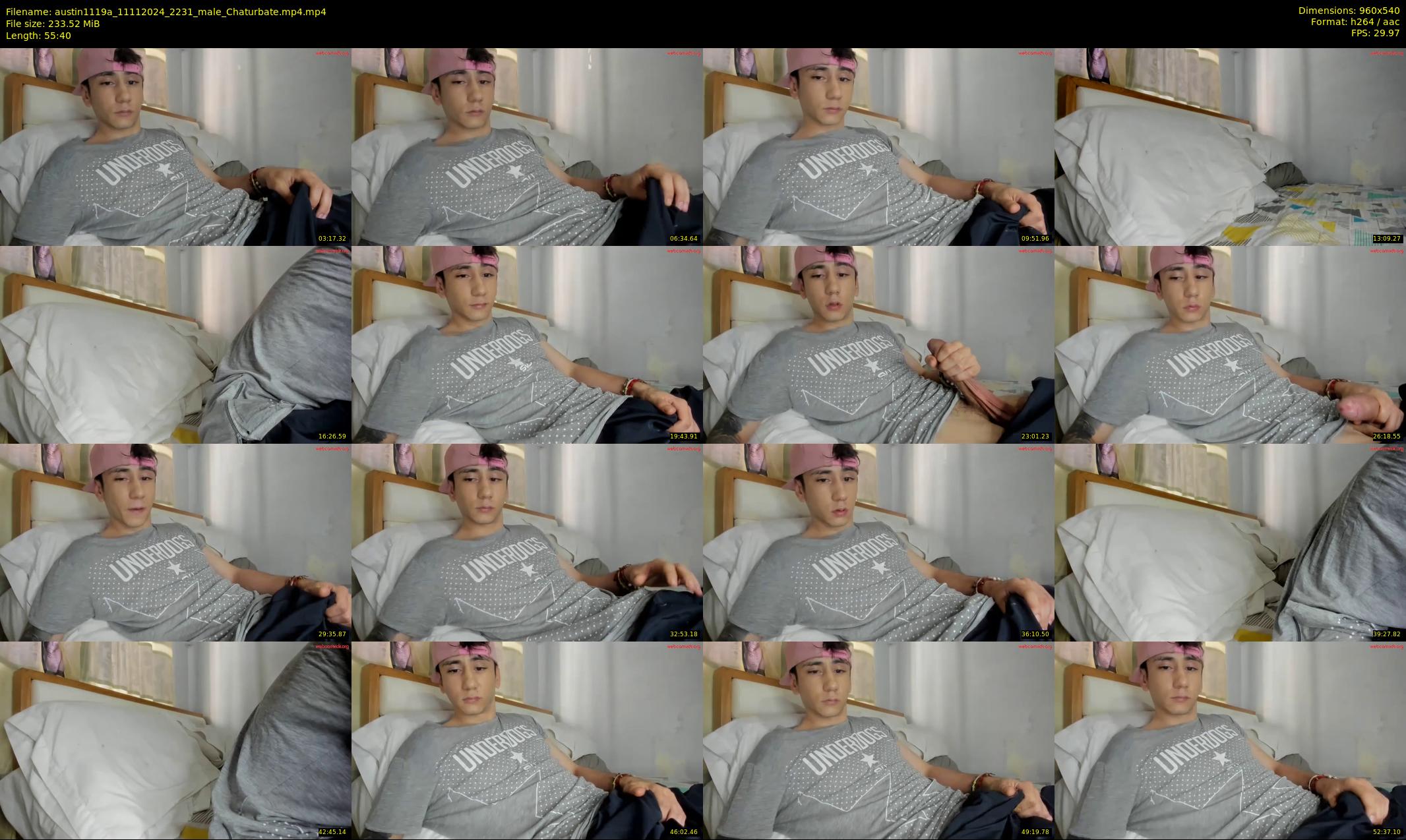 austin1119a — 56 minute Chaturbate male cam show recording, 480p, Nov 11, 2024