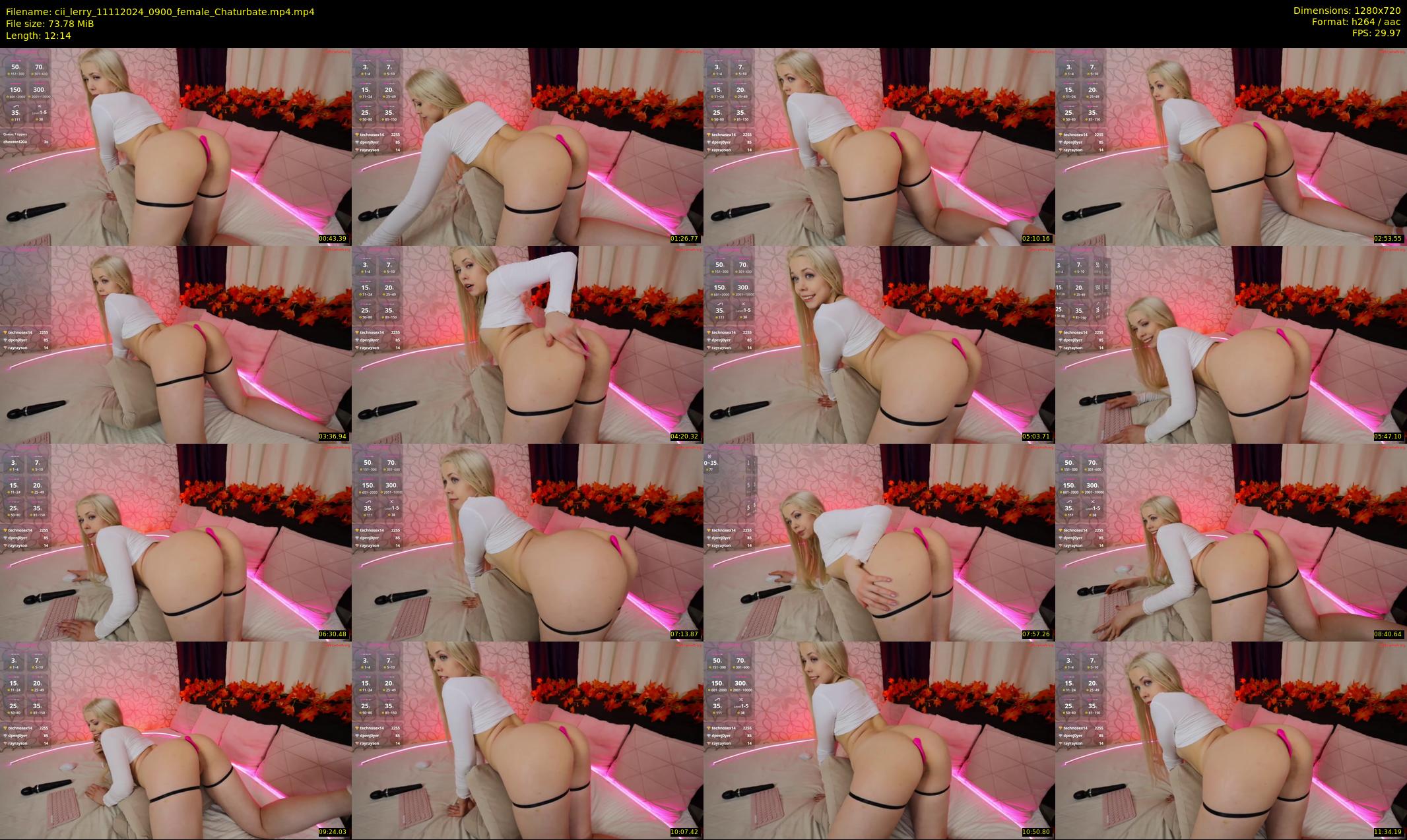 cii_lerry — 13 minute Chaturbate female cam show recording, 720p, Nov 11, 2024