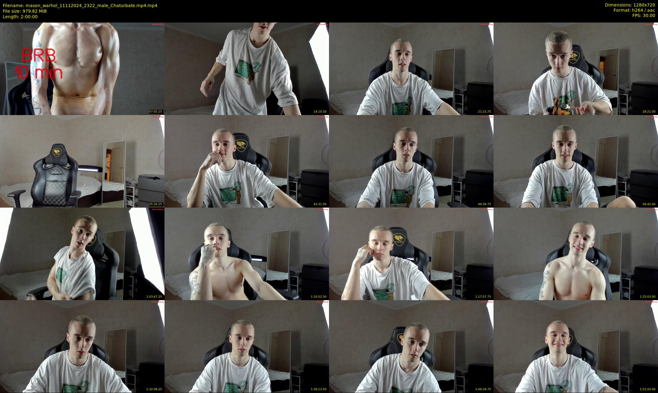 mason_warhol — 120 minute Chaturbate male cam show recording, 720p, Nov 11, 2024