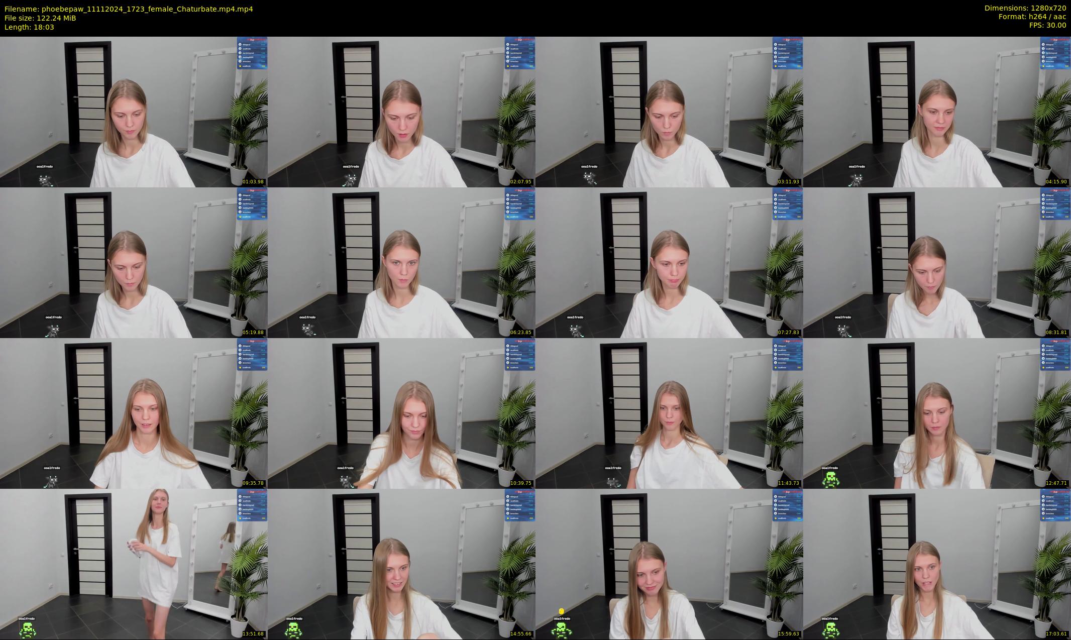 phoebepaw — 19 minute Chaturbate female cam show recording, 720p, Nov 11, 2024