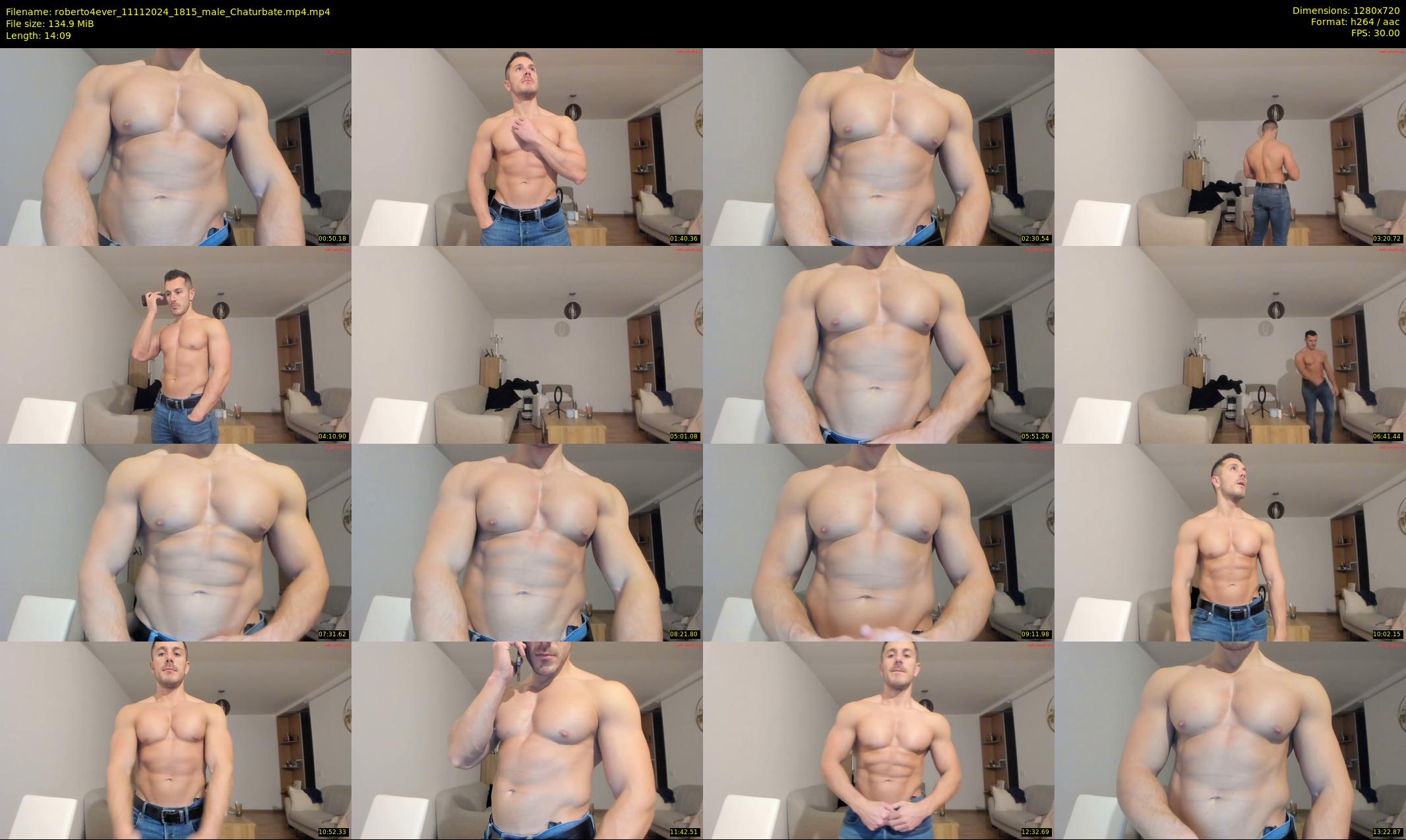 roberto4ever — 15 minute Chaturbate male cam show recording, 720p, Nov 11, 2024