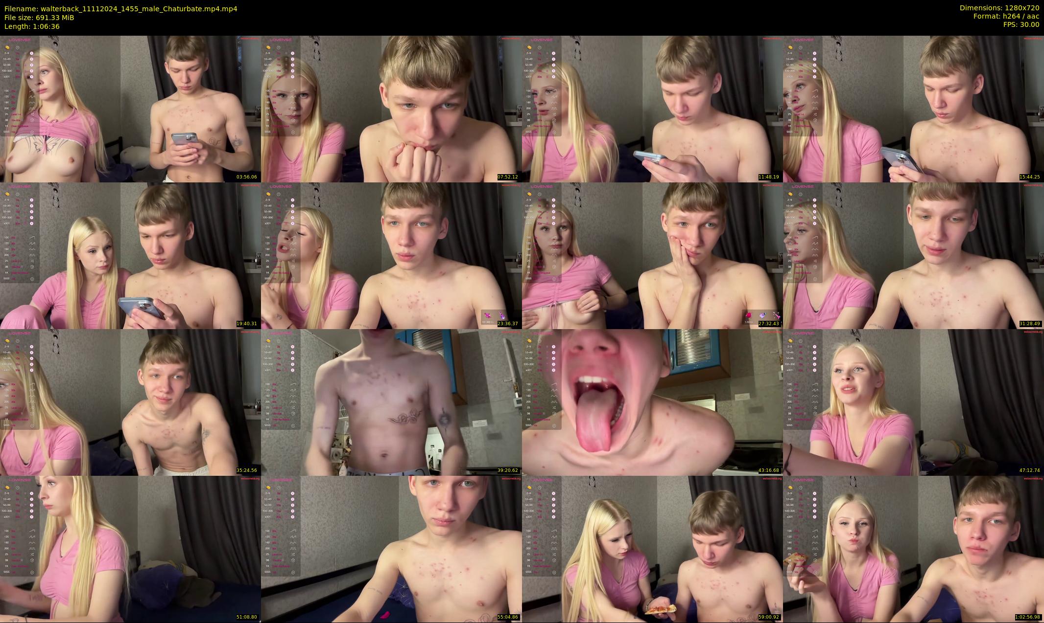 walterback — 67 minute Chaturbate male cam show recording, 720p, Nov 11, 2024