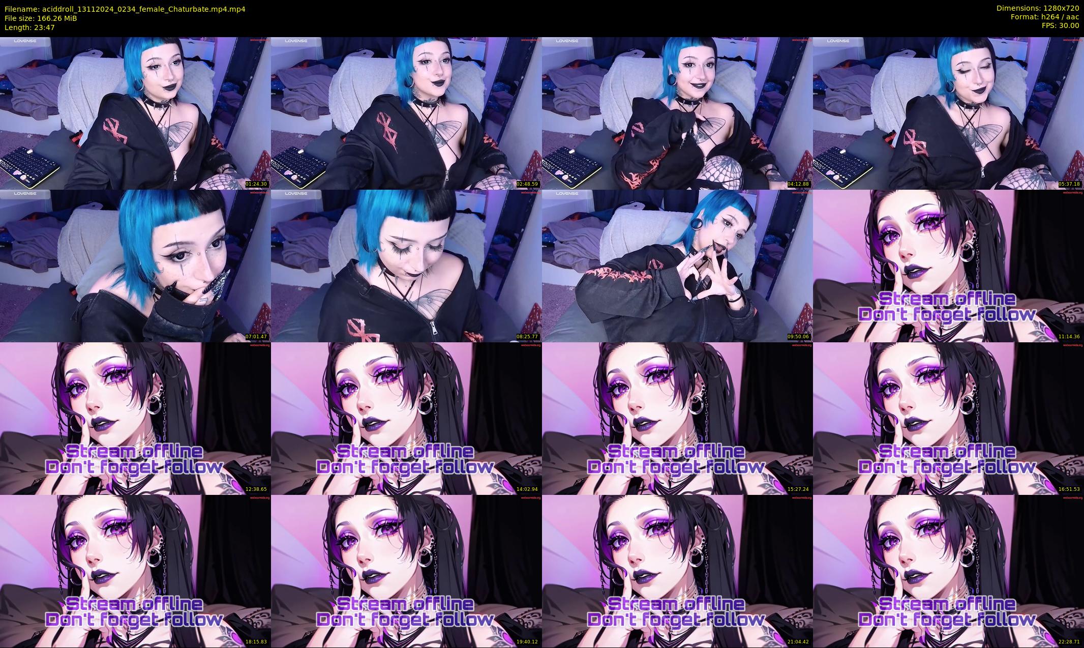 aciddroll — 24 minute Chaturbate female cam show recording, 720p, Nov 13, 2024