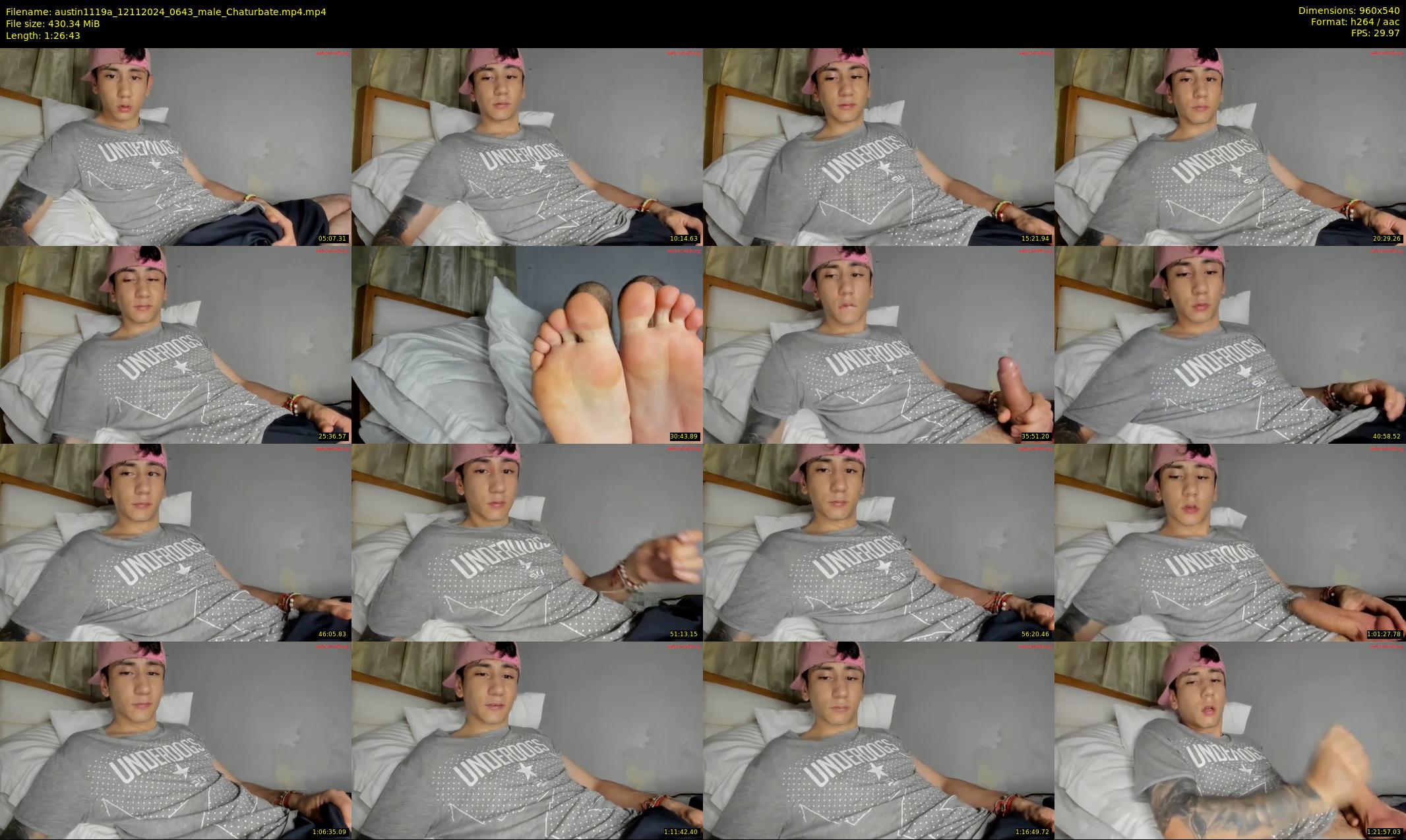 austin1119a — 87 minute Chaturbate male cam show recording, 480p, Nov 12, 2024