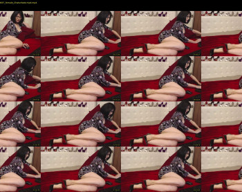 danacougar — 21 minute Chaturbate female cam show recording, 720p, Nov 12, 2024