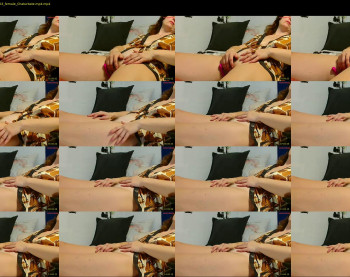 wildpersia — 17 minute Chaturbate female cam show recording, 480p, Nov 12, 2024