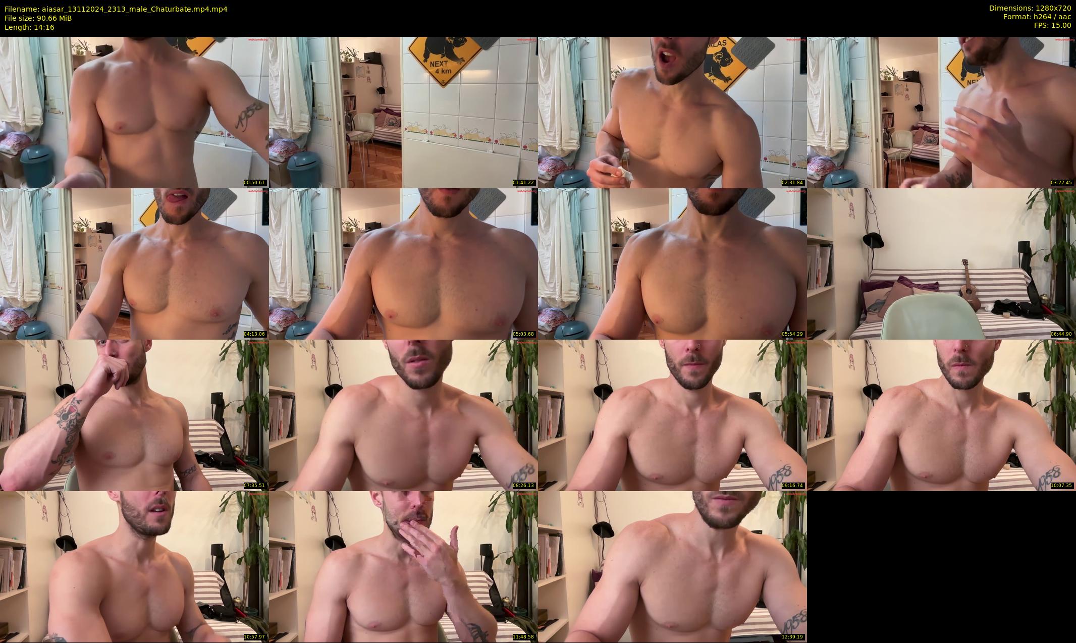 aiasar — 15 minute Chaturbate male cam show recording, 720p, Nov 13, 2024