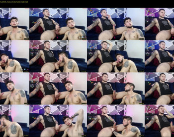 alexhunter2004 — 39 minute Chaturbate male cam show recording, 720p, Nov 14, 2024