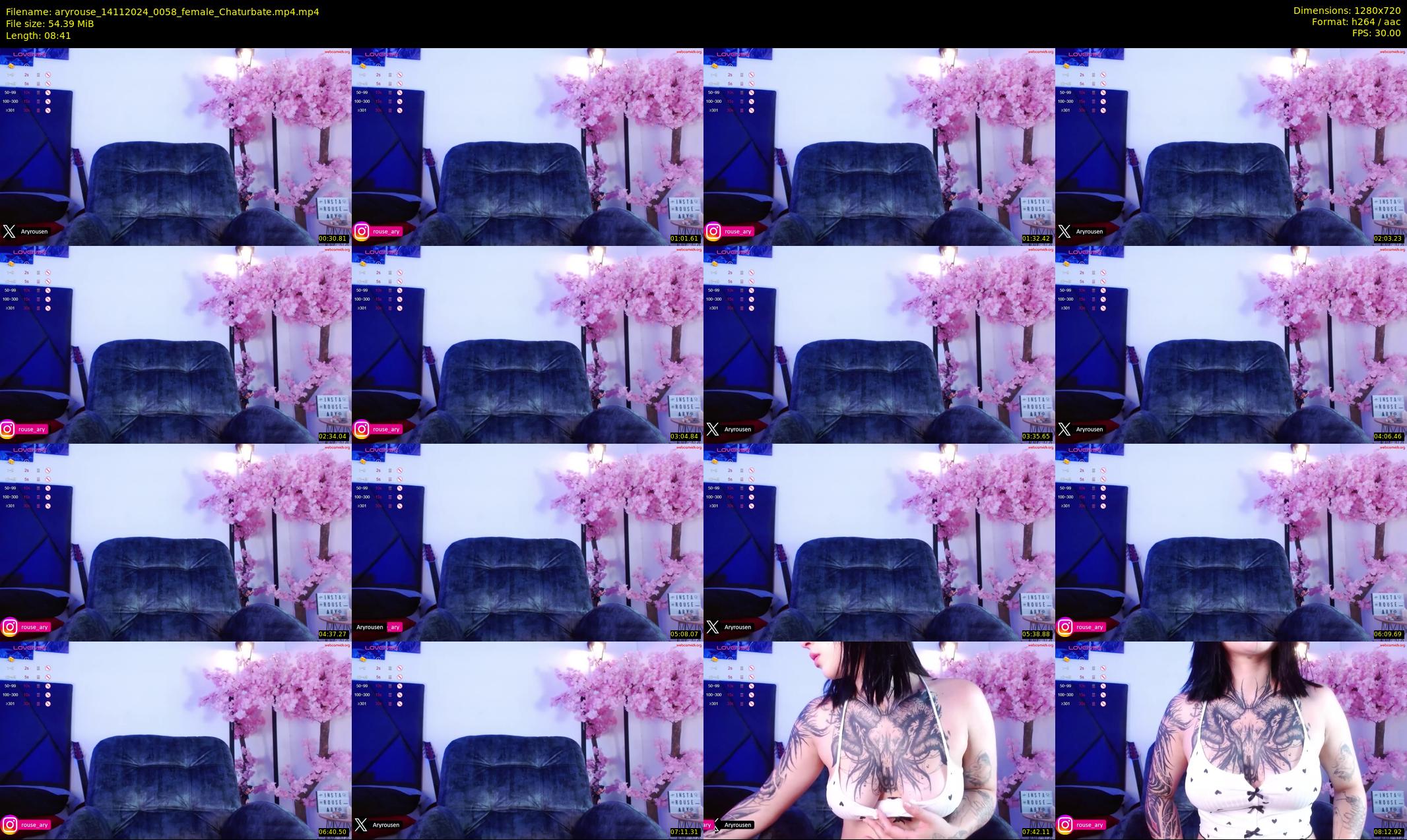 aryrouse — 9 minute Chaturbate female cam show recording, 720p, Nov 14, 2024