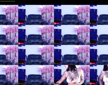 aryrouse — 9 minute Chaturbate female cam show recording, 720p, Nov 14, 2024