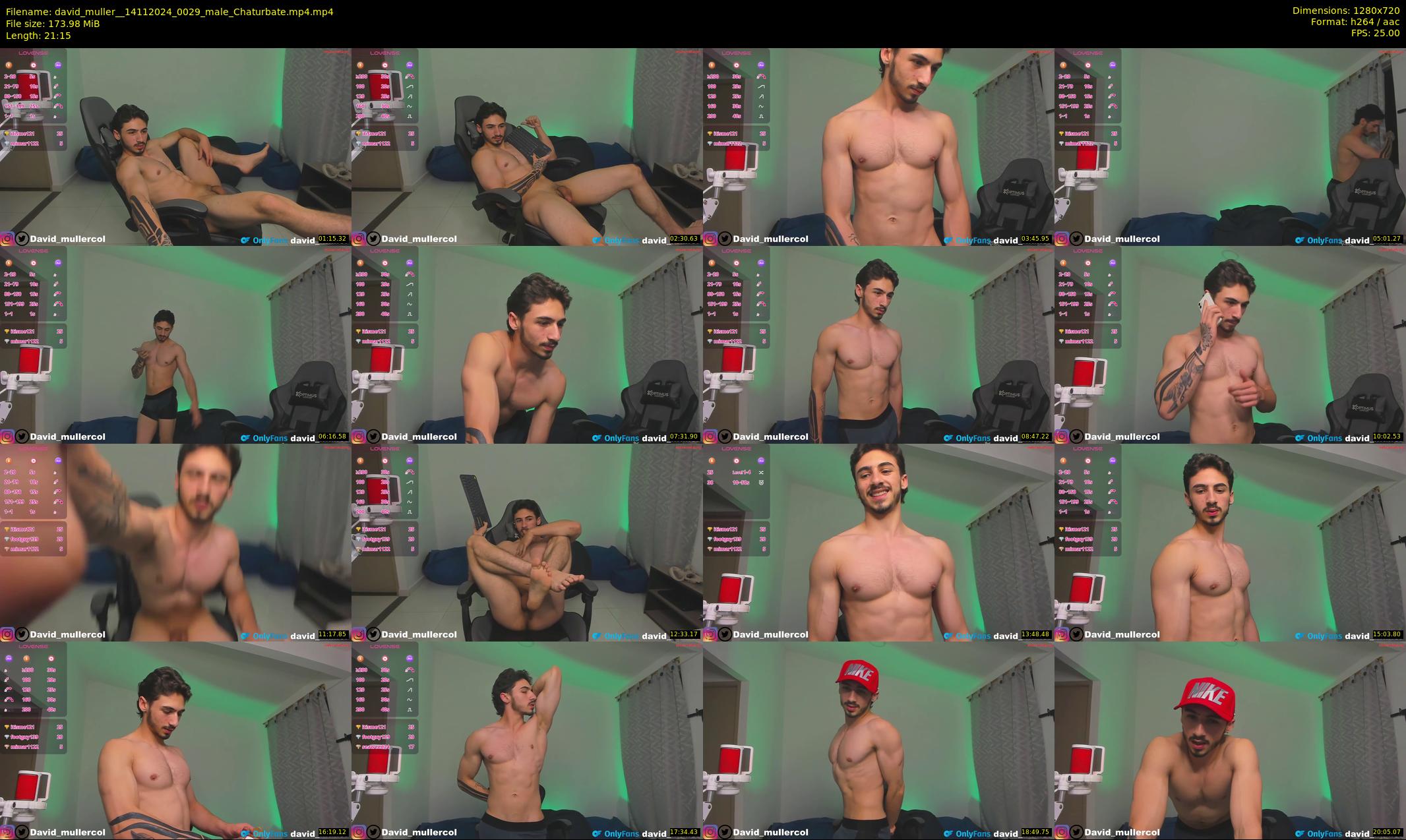 david_muller_ — 22 minute Chaturbate male cam show recording, 720p, Nov 14, 2024