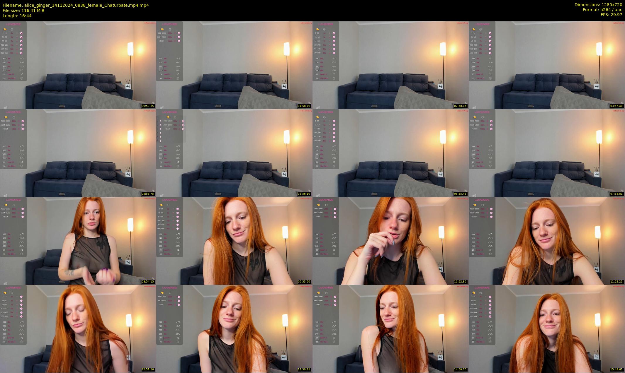 alice_ginger — 17 minute Chaturbate female cam show recording, 720p, Nov 14, 2024