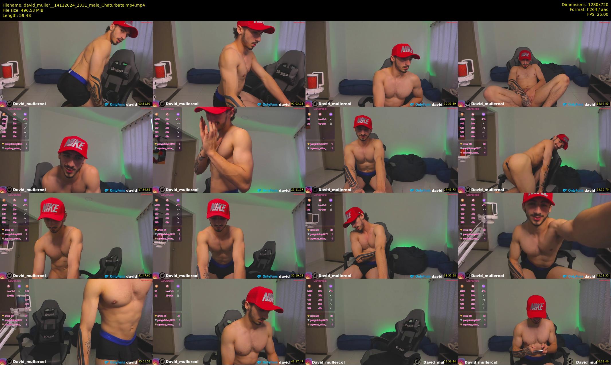 david_muller_ — 60 minute Chaturbate male cam show recording, 720p, Nov 14, 2024
