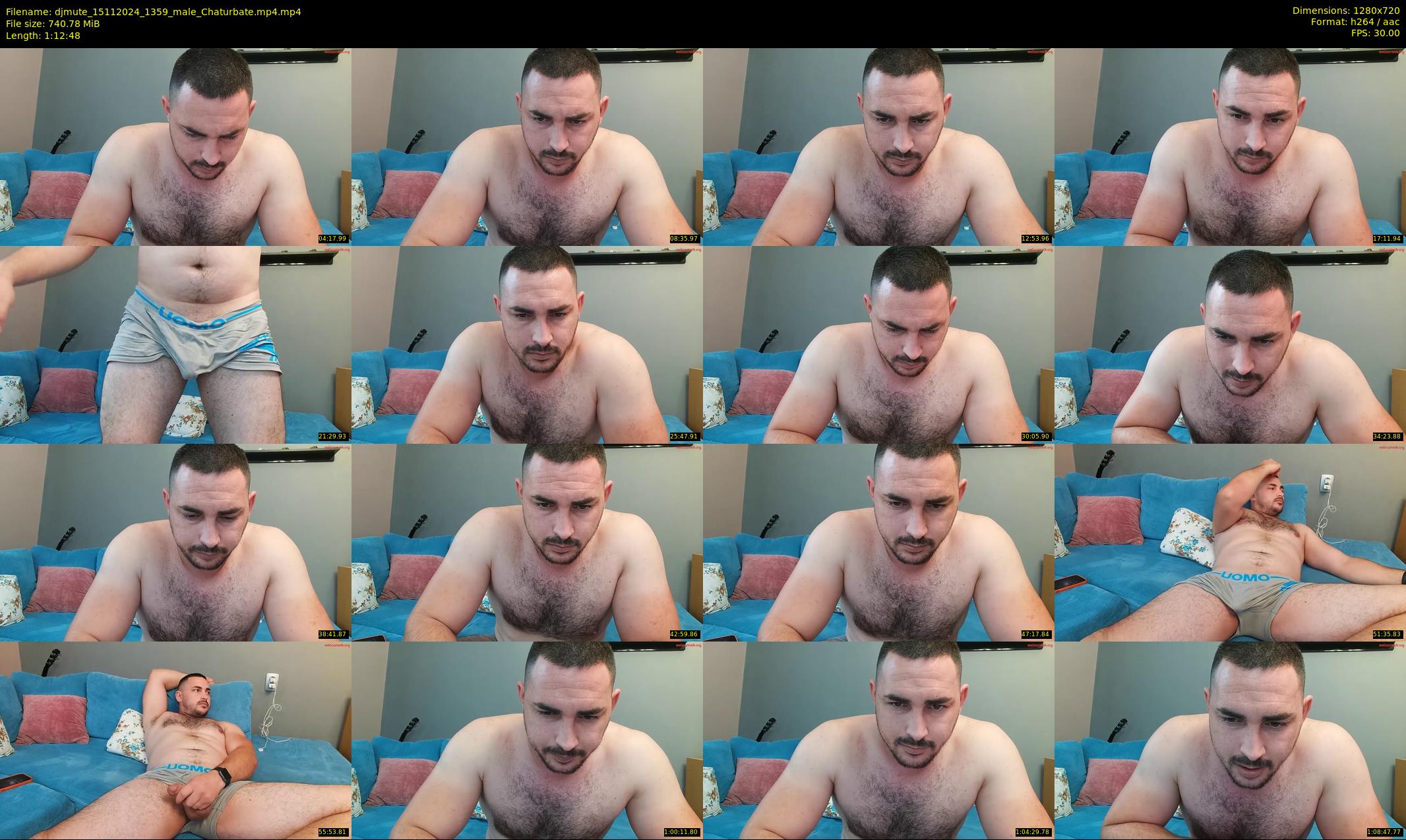 djmute — 73 minute Chaturbate male cam show recording, 720p, Nov 15, 2024
