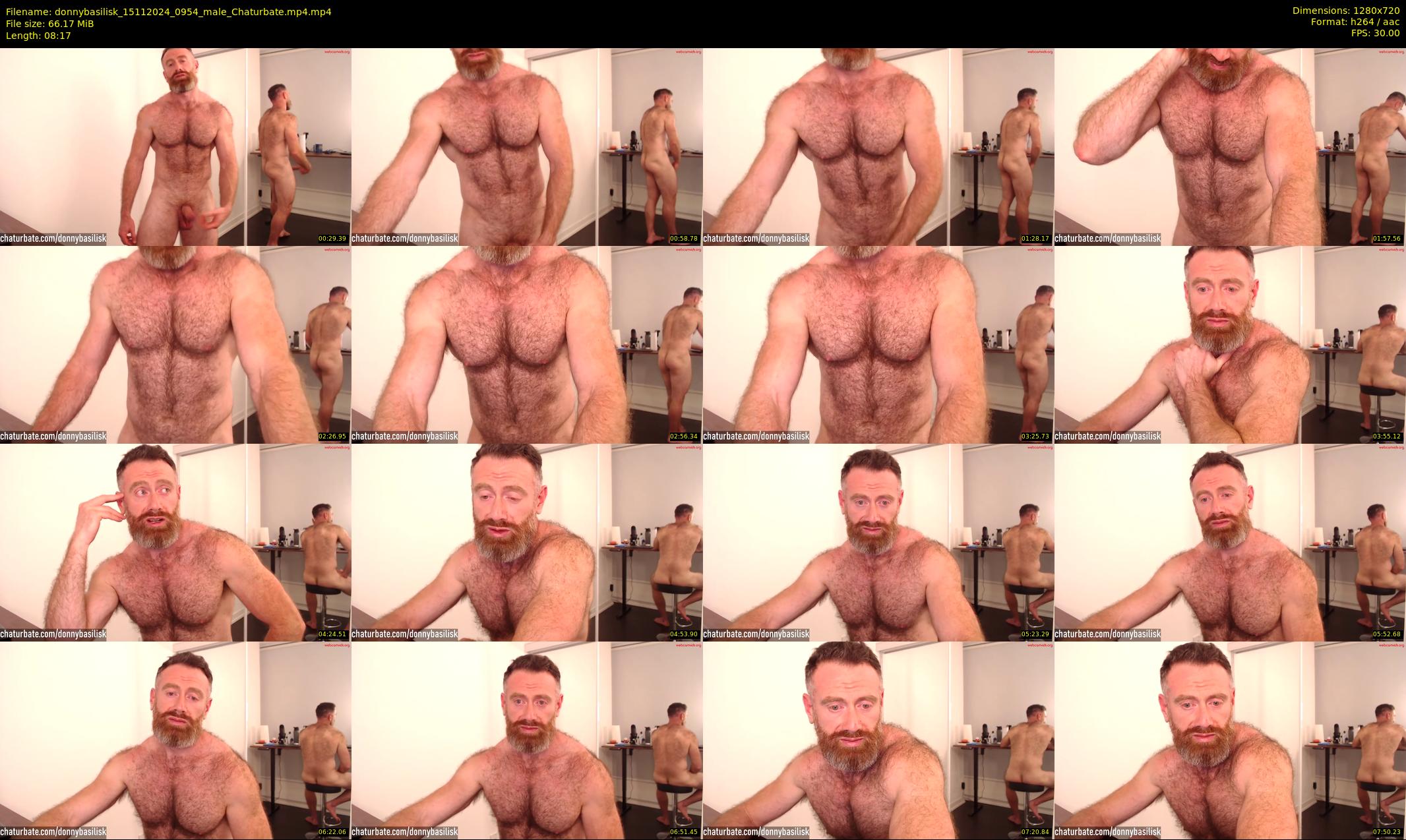 donnybasilisk — 9 minute Chaturbate male cam show recording, 720p, Nov 15, 2024
