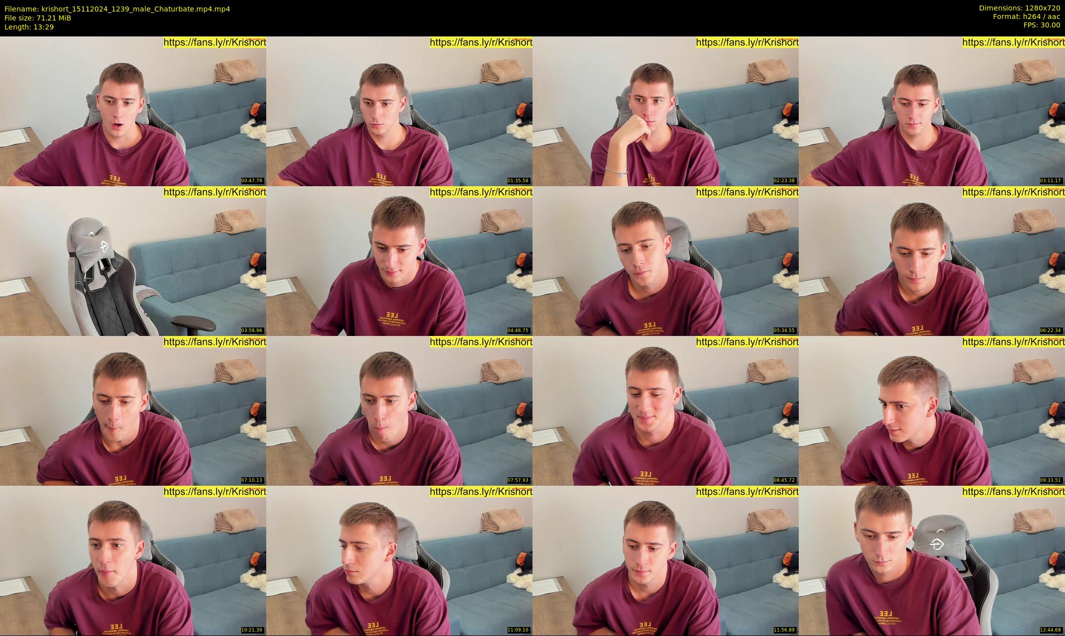 krishort — 14 minute Chaturbate male cam show recording, 720p, Nov 15, 2024