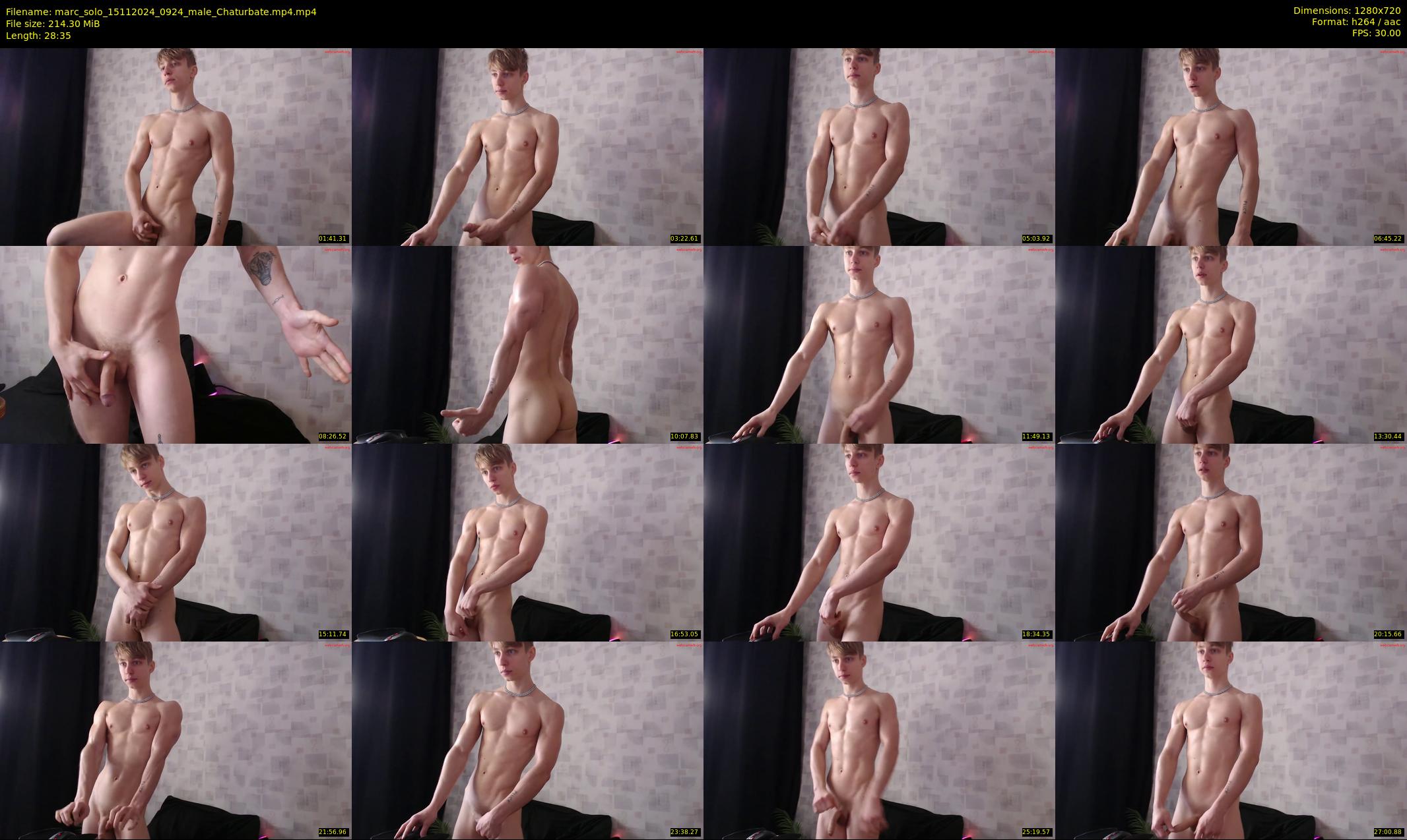 marc_solo — 29 minute Chaturbate male cam show recording, 720p, Nov 15, 2024