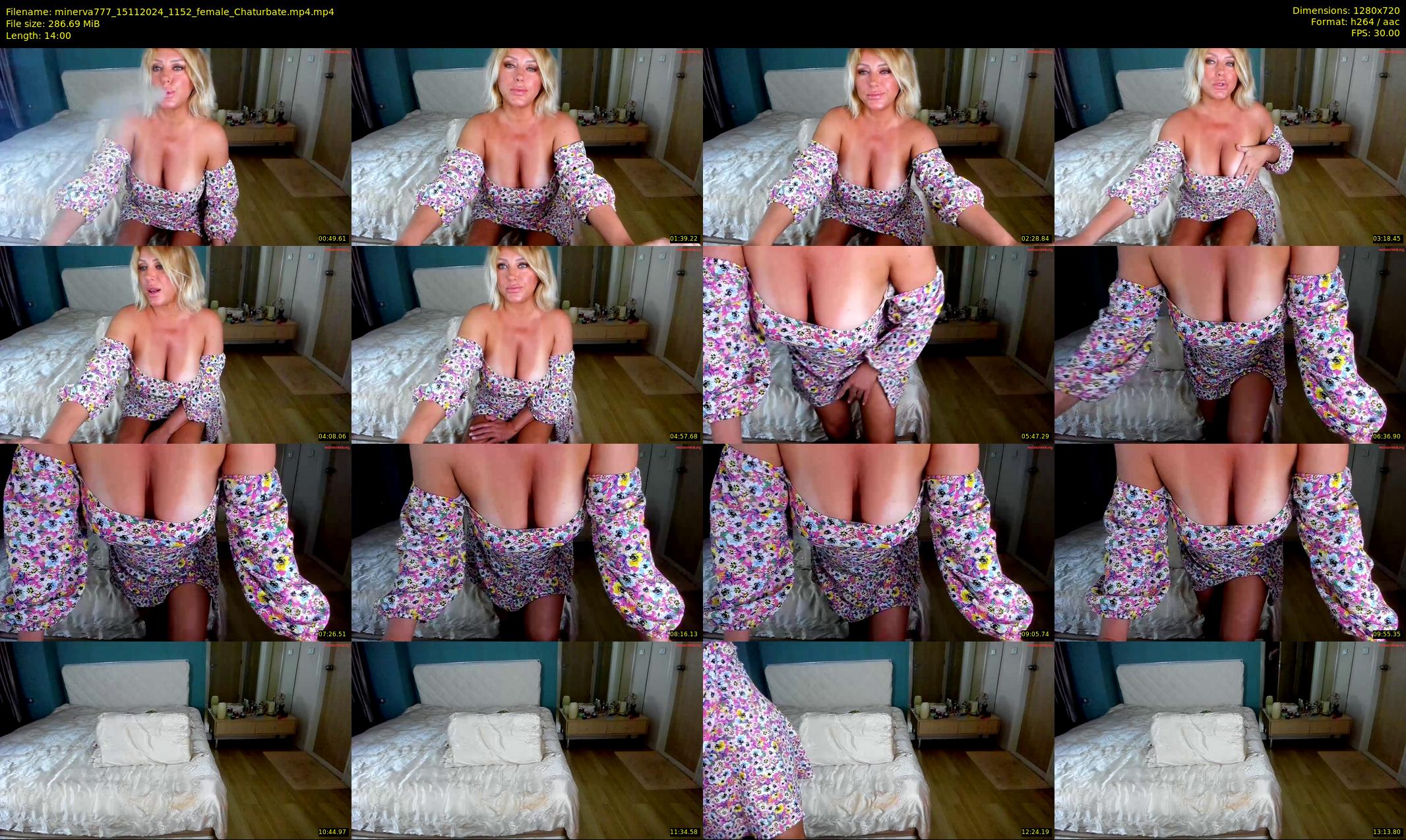 minerva777 — 14 minute Chaturbate female cam show recording, 720p, Nov 15, 2024