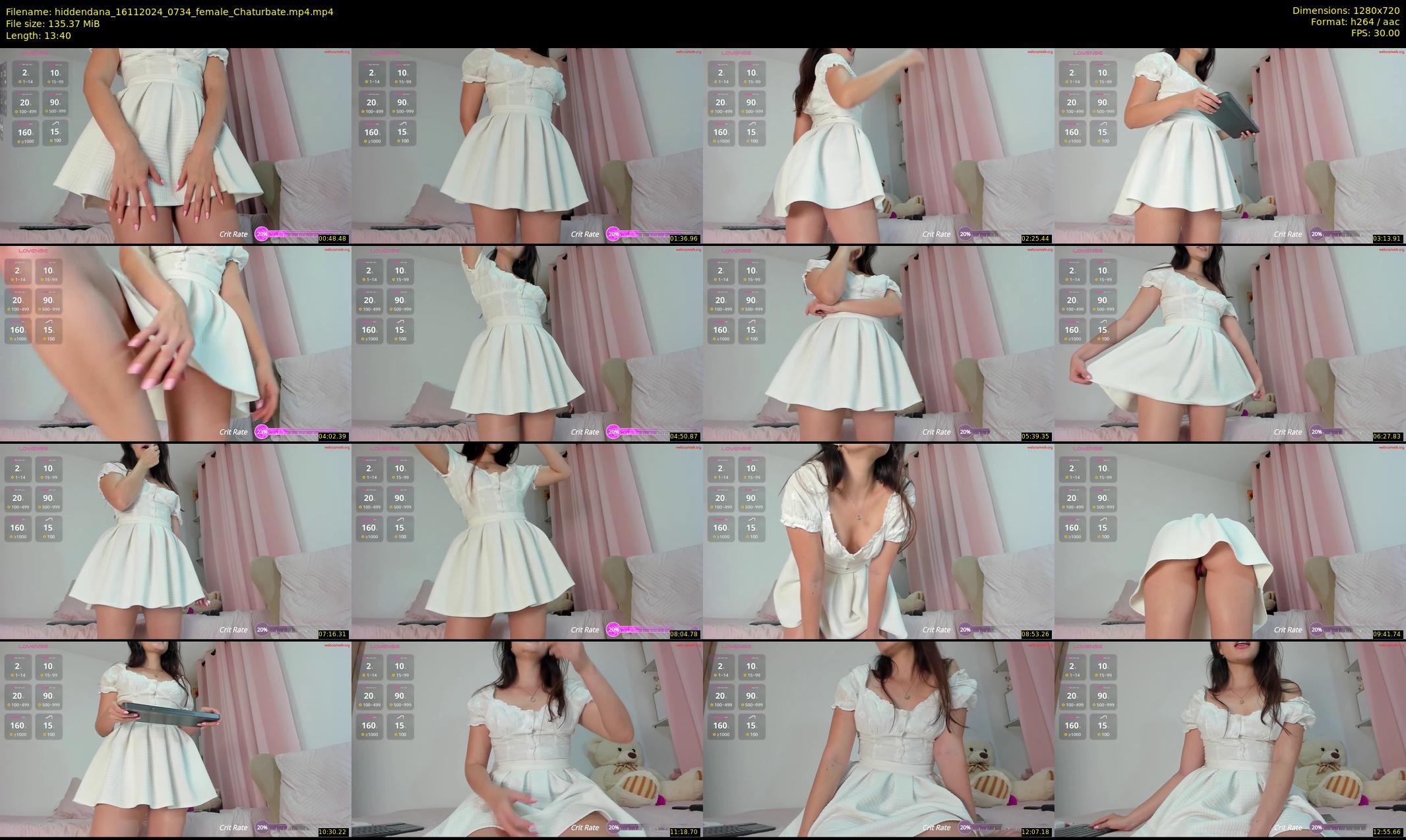 hiddendana — 14 minute Chaturbate female cam show recording, 720p, Nov 16, 2024