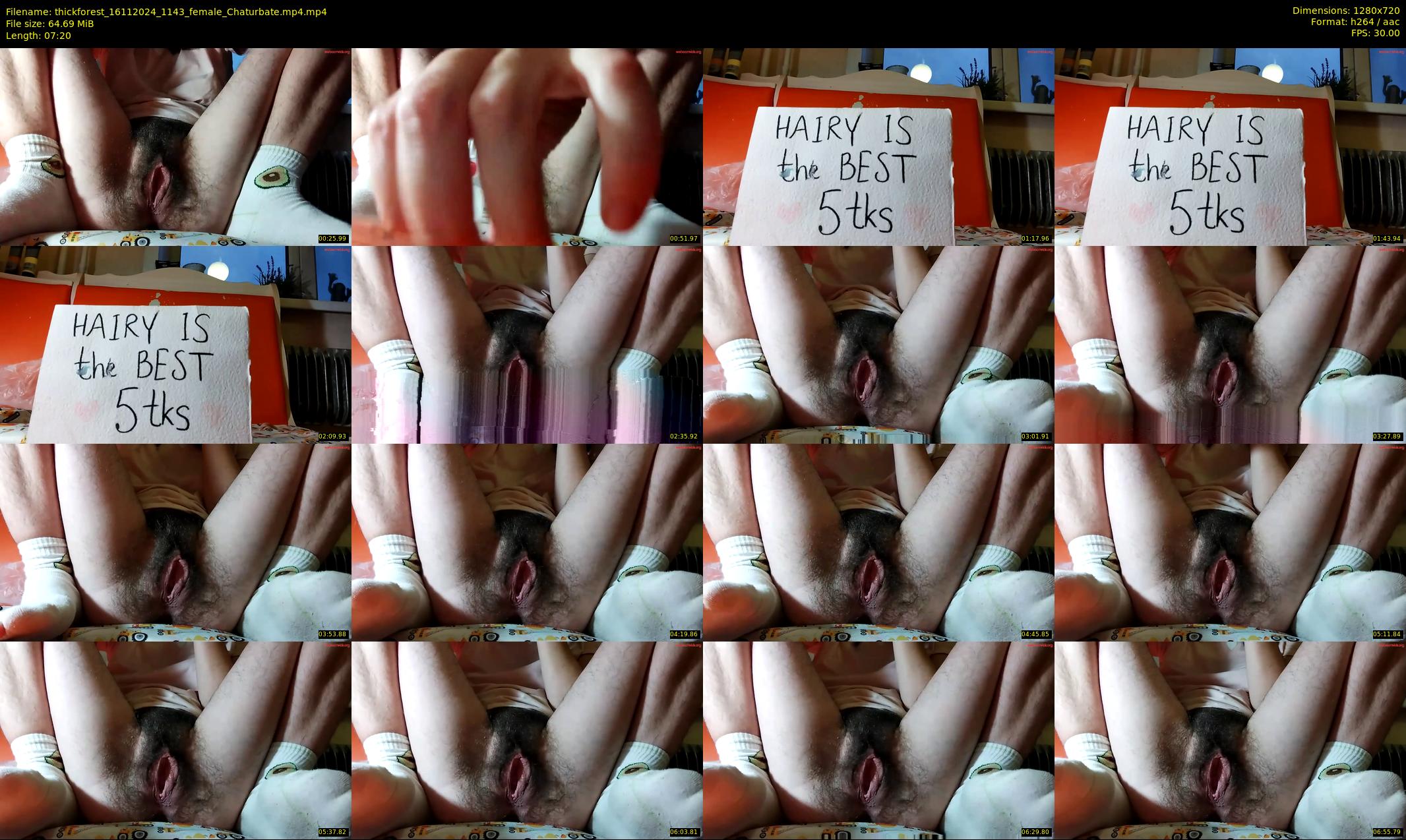 thickforest — 8 minute Chaturbate female cam show recording, 720p, Nov 16, 2024