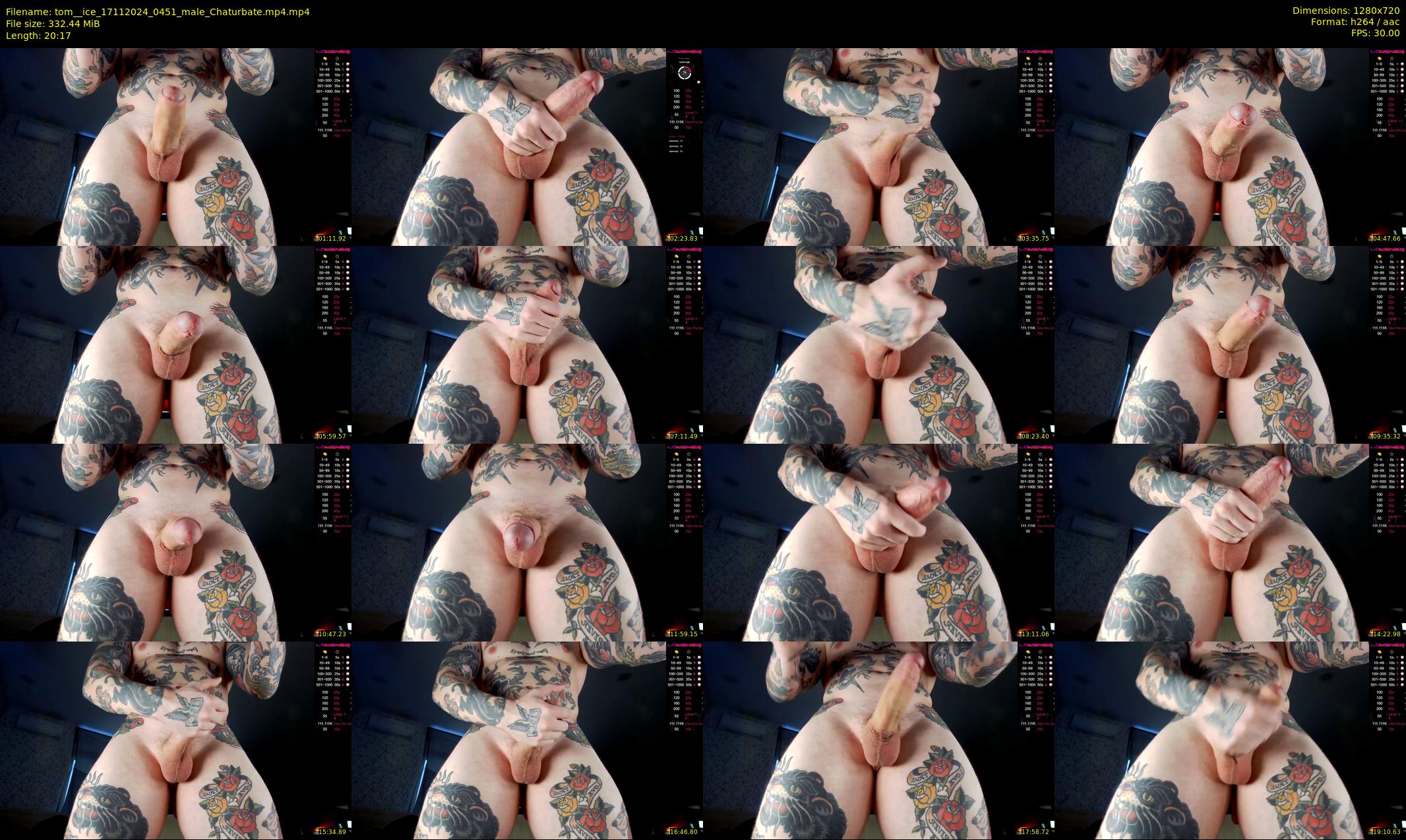 tom__ice — 21 minute Chaturbate male cam show recording, 720p, Nov 17, 2024