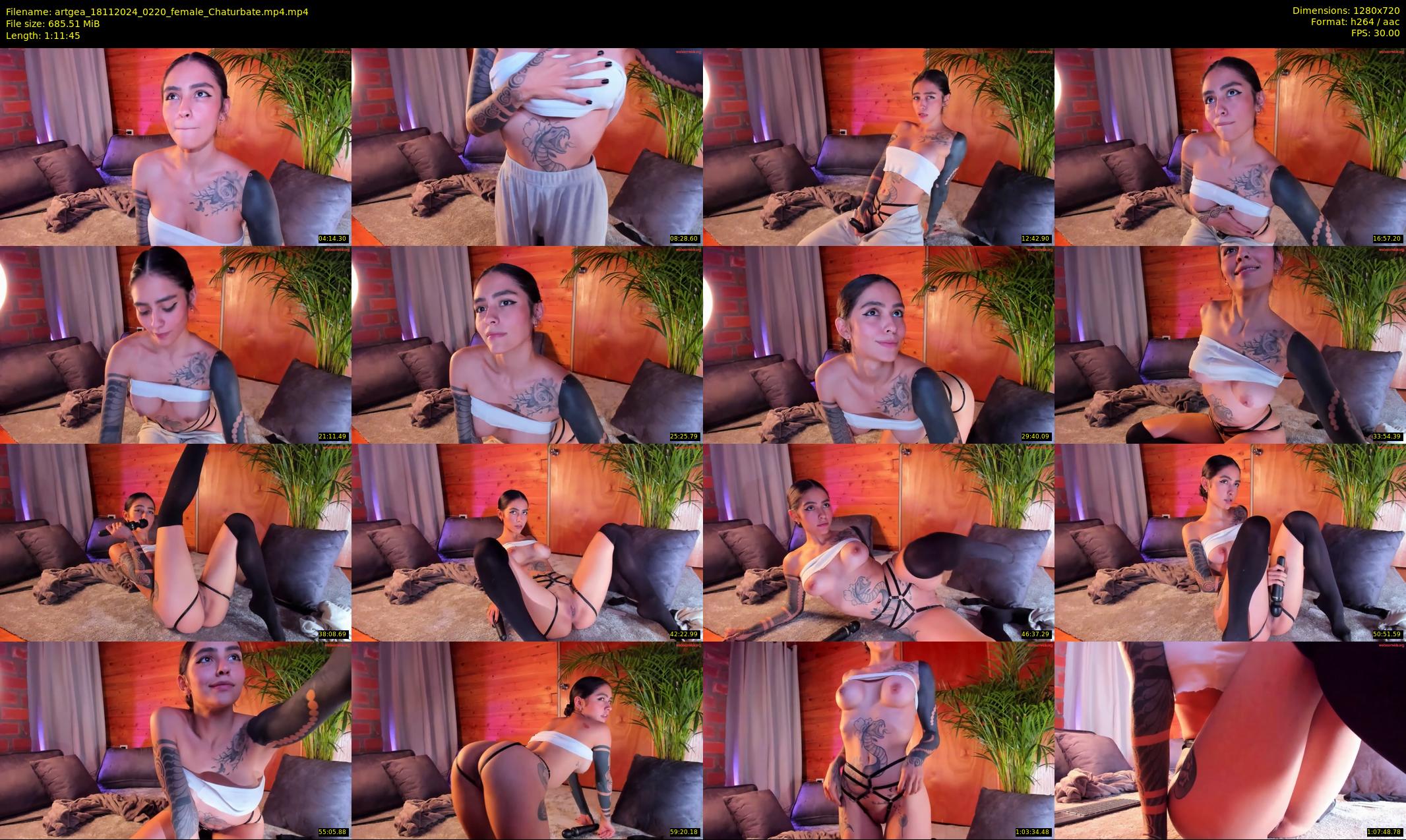 artgea — 72 minute Chaturbate female cam show recording, 720p, Nov 18, 2024