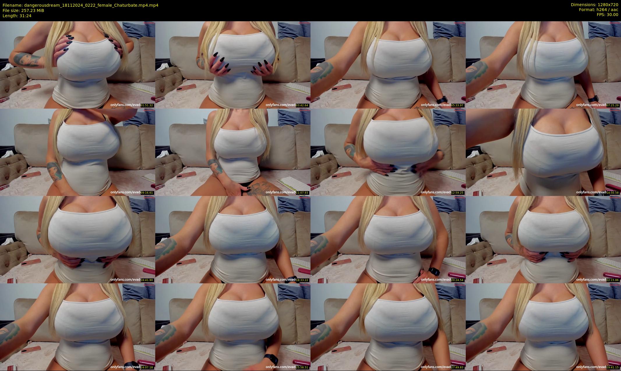dangerousdream — 32 minute Chaturbate couple cam show recording, 720p, Nov 18, 2024